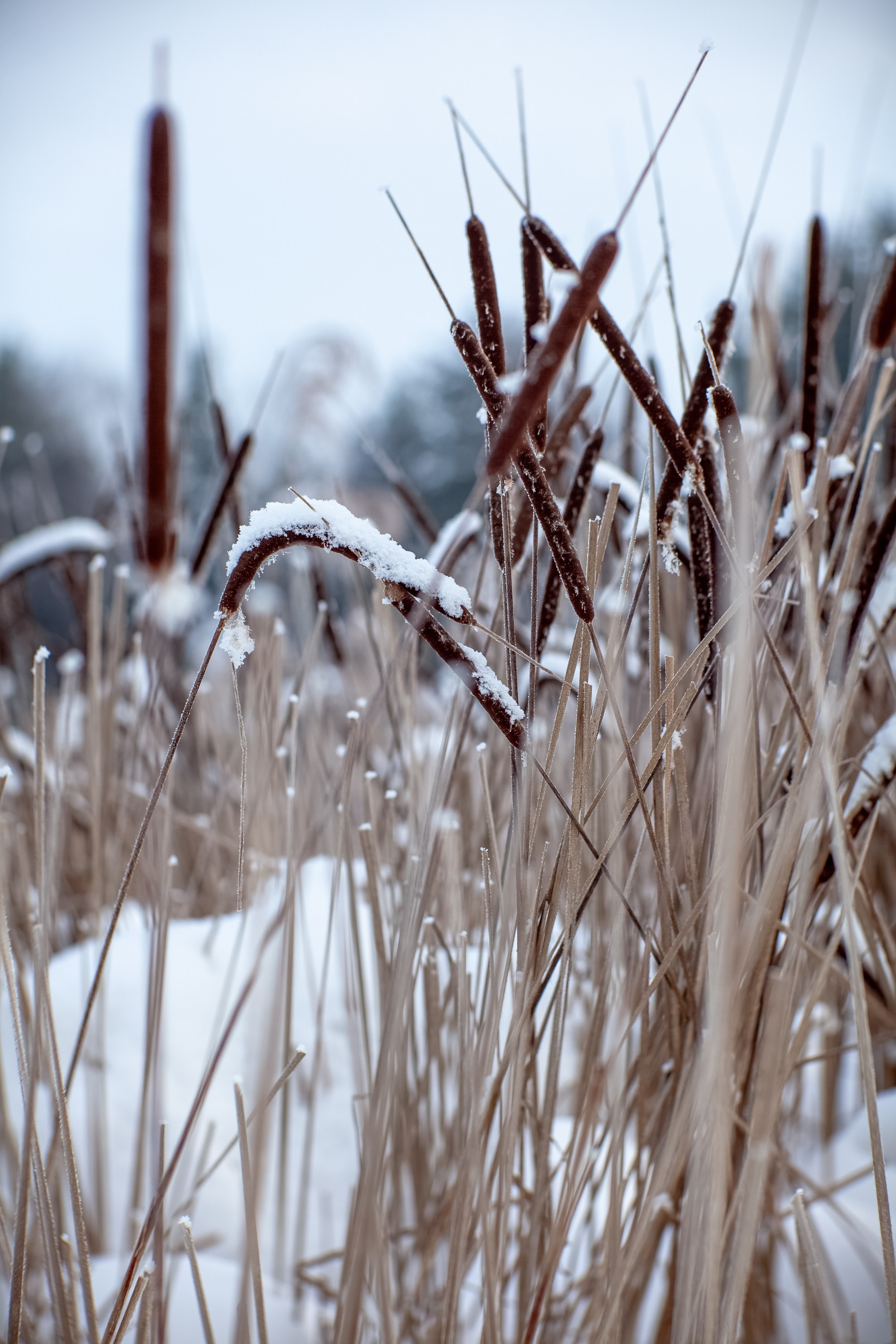 Выключить шум и услышать тишину, утихомирить свои мысли и приземлиться. В фокусе- человек и его состояние!. Туманов Виталий — фотограф Москва