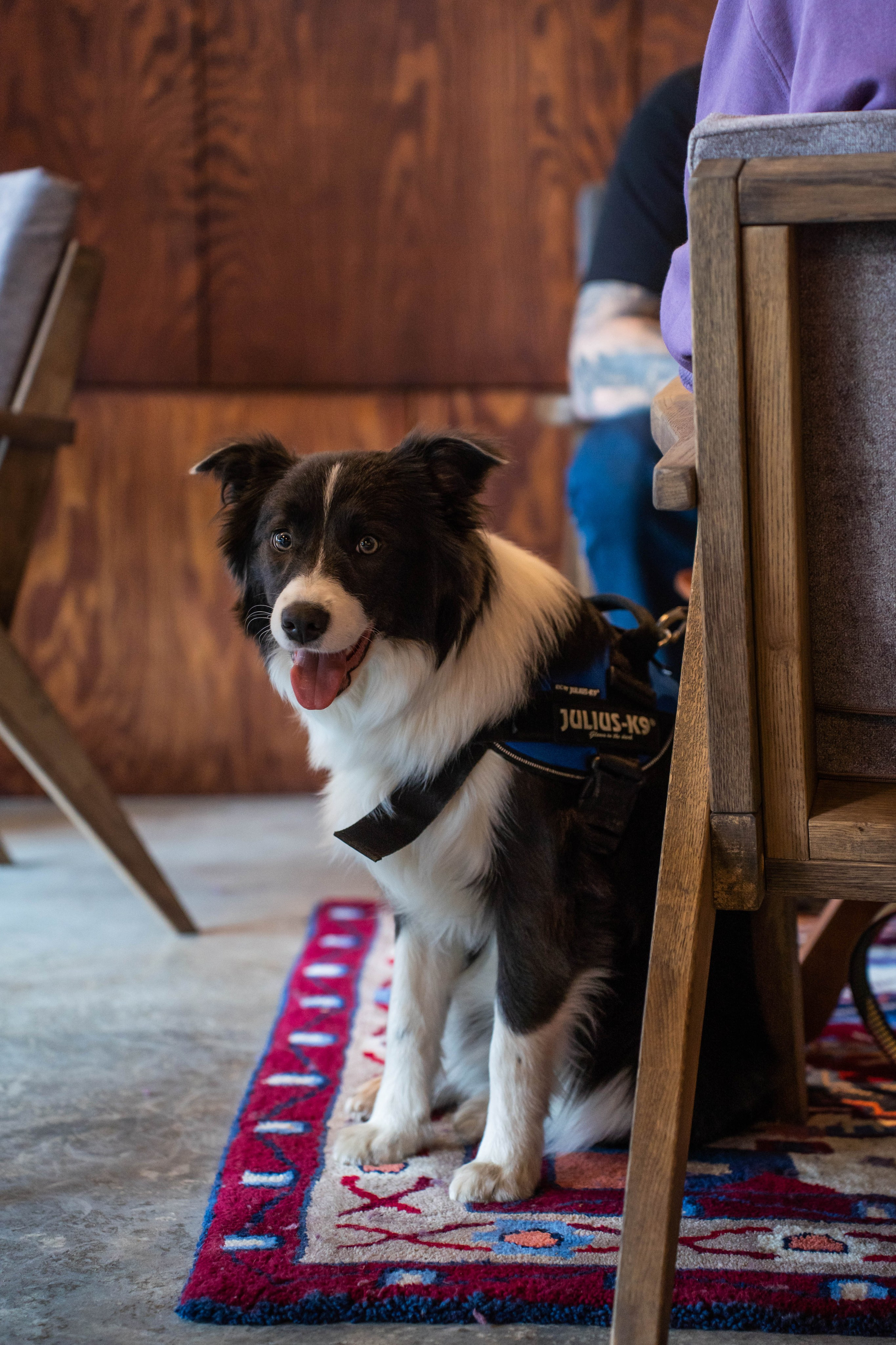SURF COFFEE| DAY. Фотограф Абакумова Анастасия