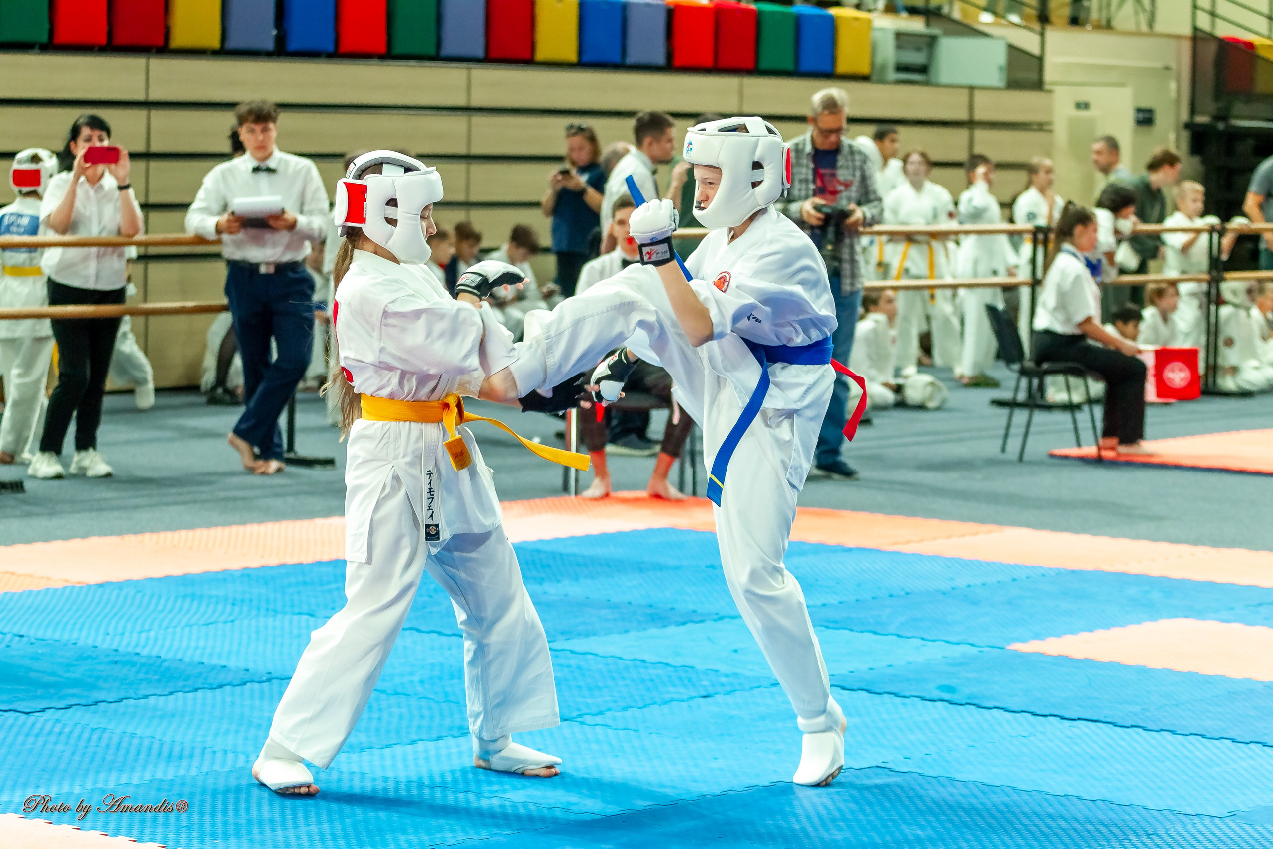 Первенство Московской области по Киокушин в СК «Жаворонки». Репортажная съемка в Москве и области. Анималистика