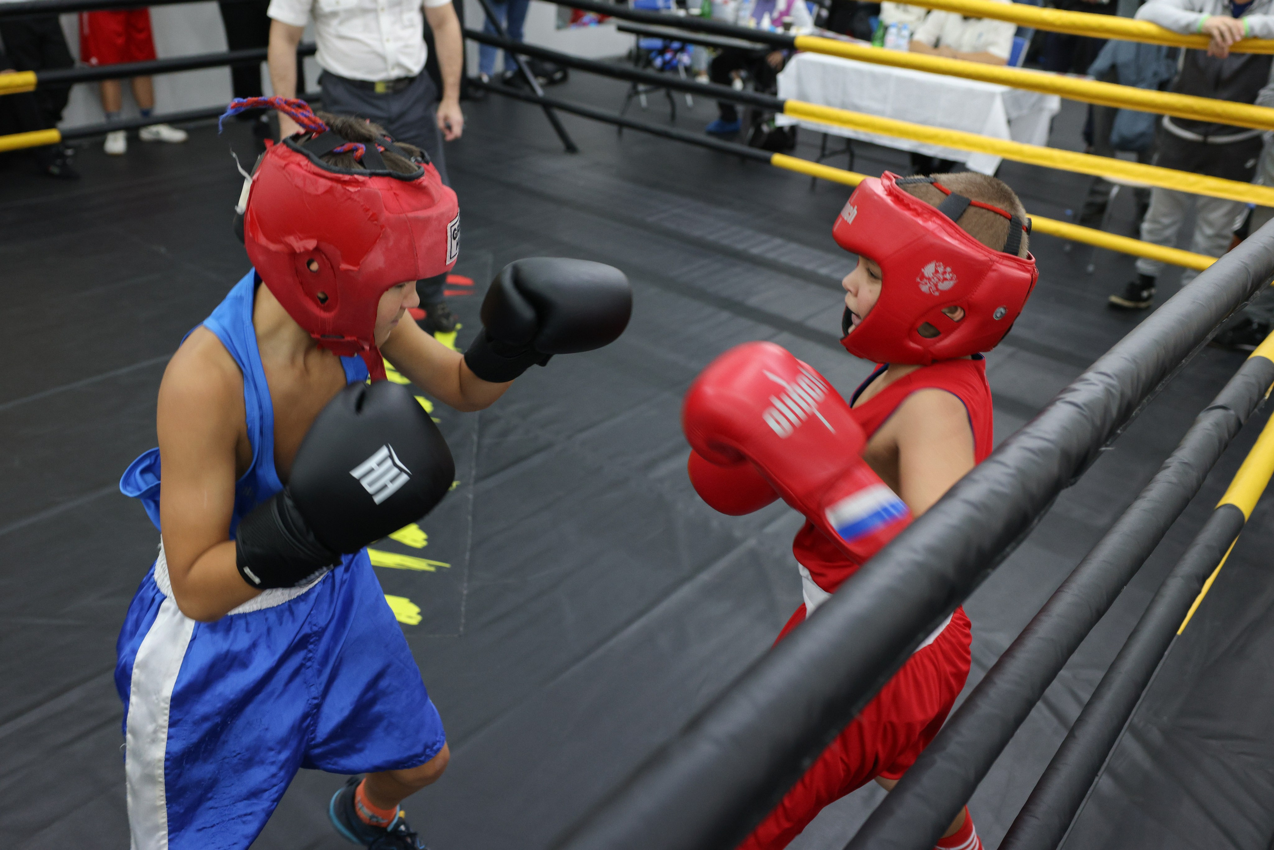 Открытый ринг «кубок ООО «ТЭК НеваСпецТяж». Фотограф Александр Заломаев