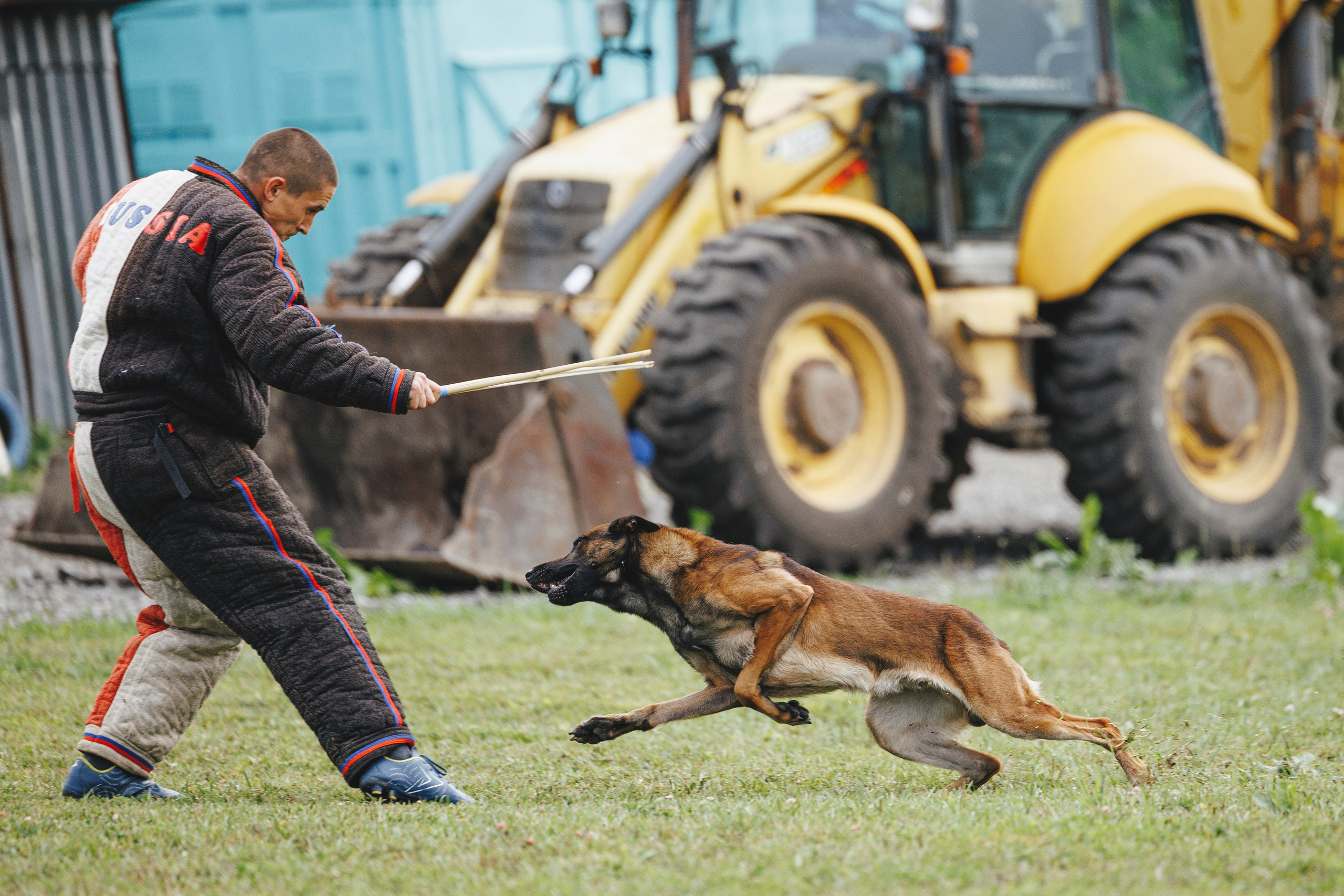 08.08.25-10.08.25 ЧР по мондьорингу г. Вологда. Фотограф-анималист Анна Маринич