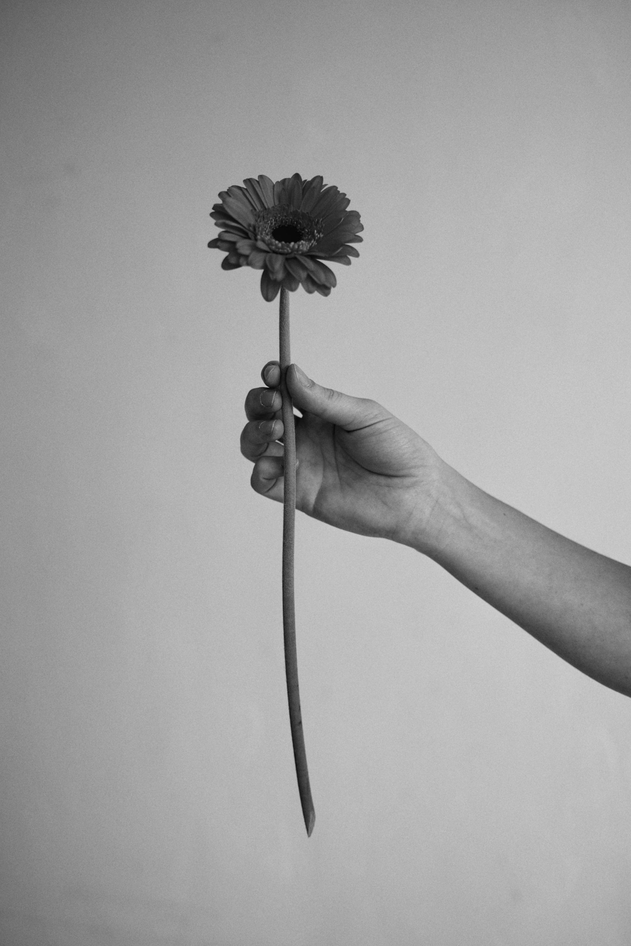 Портреты. Портретный фотограф Соня Мокроусова из Обнинска