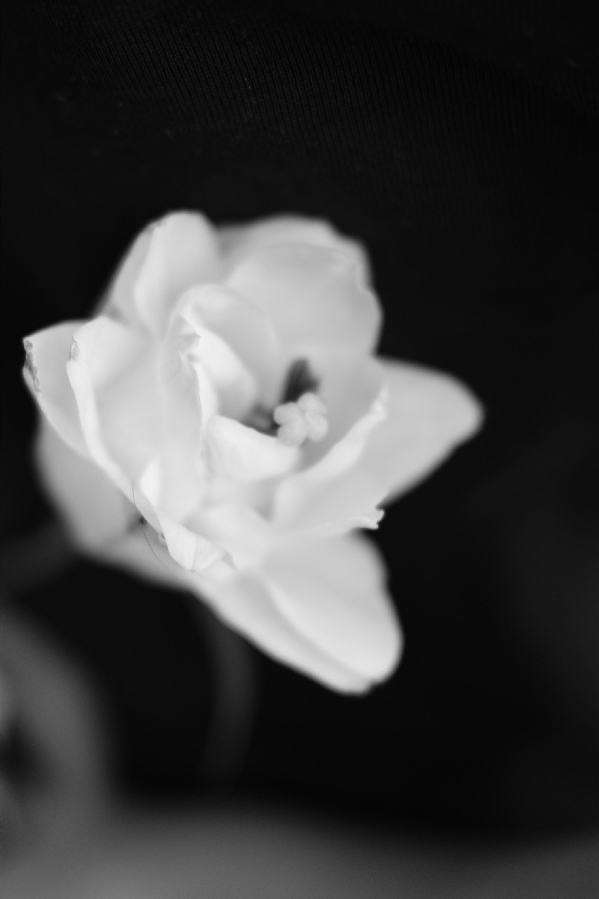 Портретный фотограф Соня Мокроусова из Обнинска