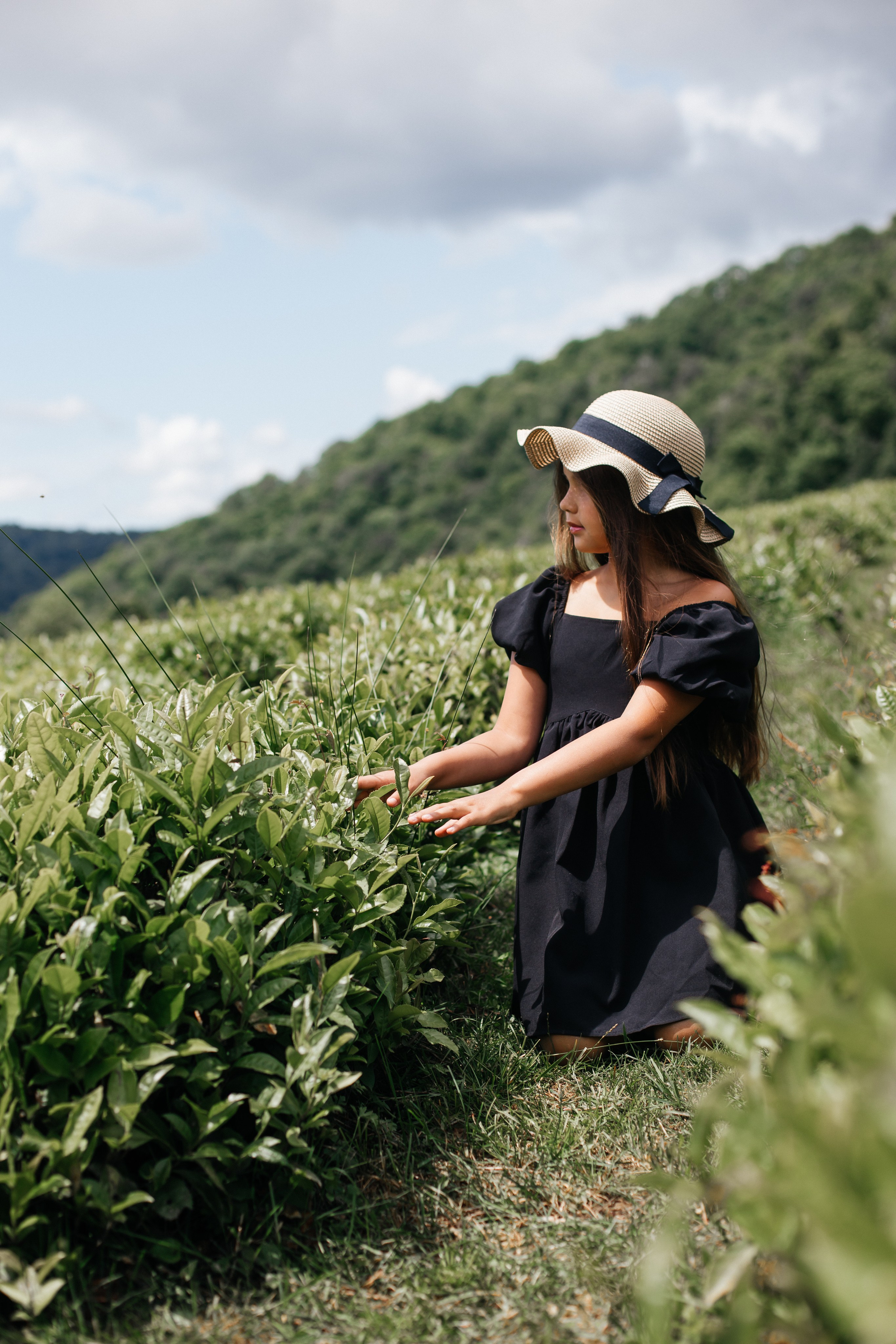 Tea plantation. Efimova Model Agency