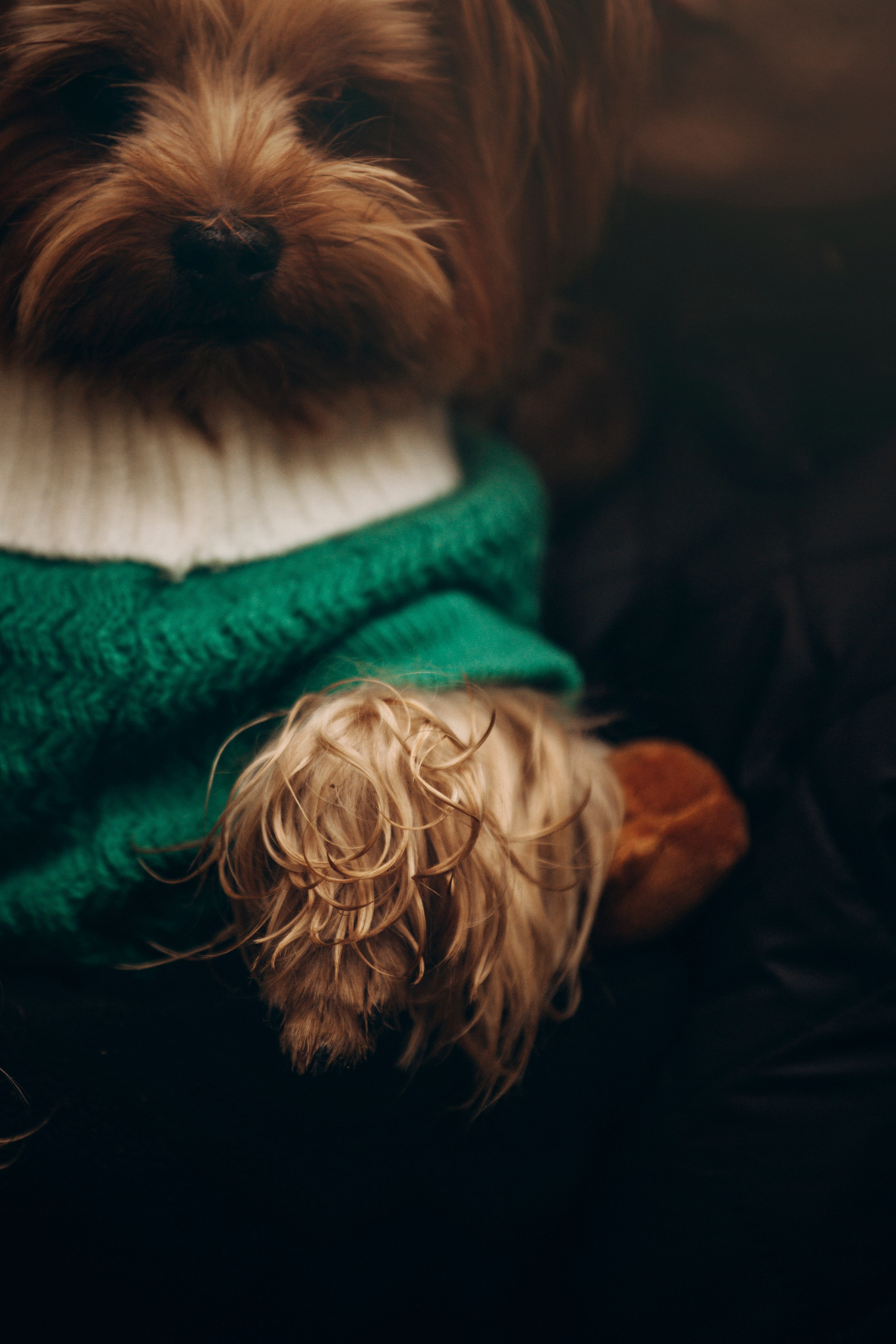 Настя и Тёма. Фотограф — Анималист | Санкт-Петербург