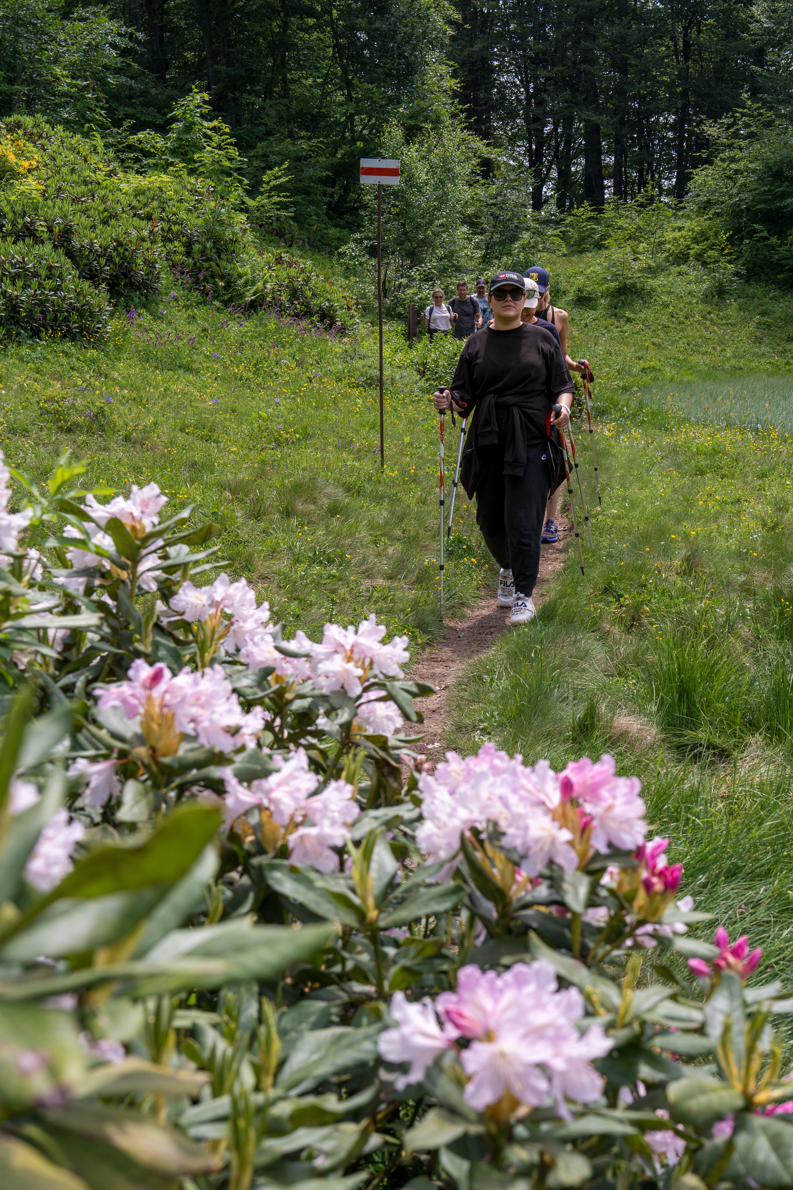 MICE мероприятие для компании «Доставка морем»: хайкинг к Ачипсинским водопадам. Репортажный фотограф в Красной Поляне и Сочи Павлюченко Екатерина