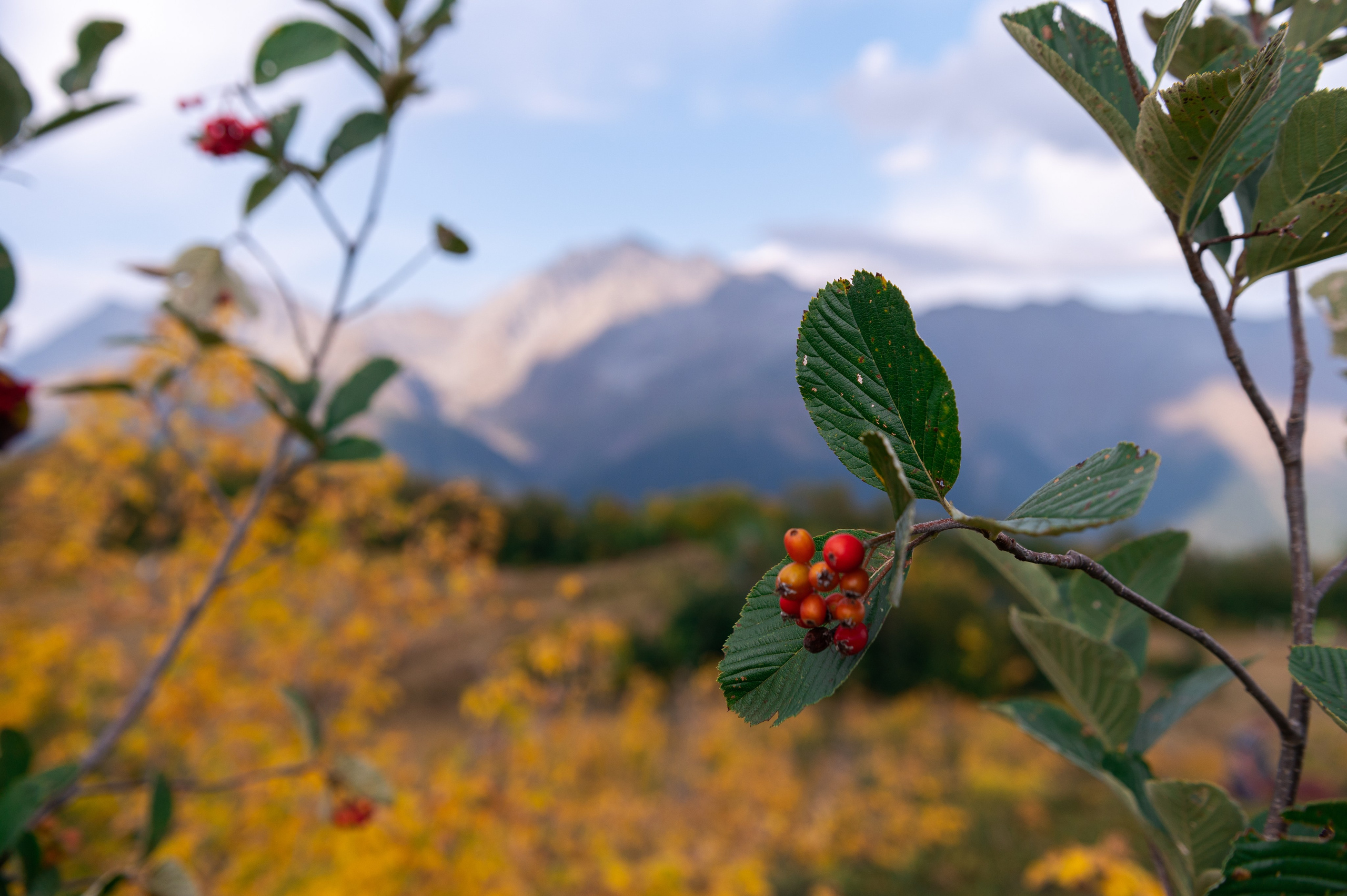 Путешествия и пейзаж. Репортажный фотограф в Красной Поляне и Сочи Павлюченко Екатерина