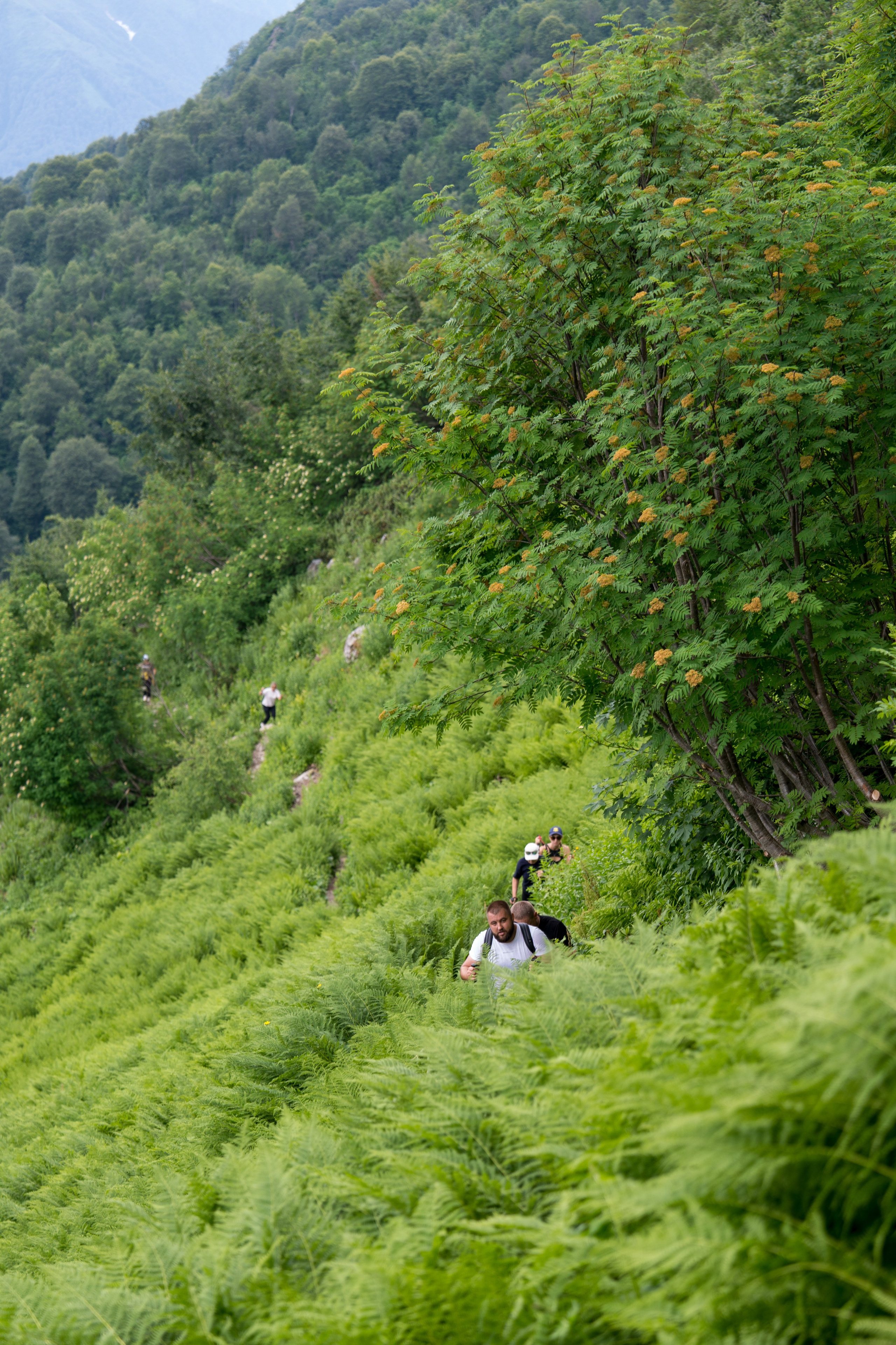 MICE мероприятие для компании «Доставка морем»: хайкинг к Ачипсинским водопадам. Репортажный фотограф в Красной Поляне и Сочи Павлюченко Екатерина
