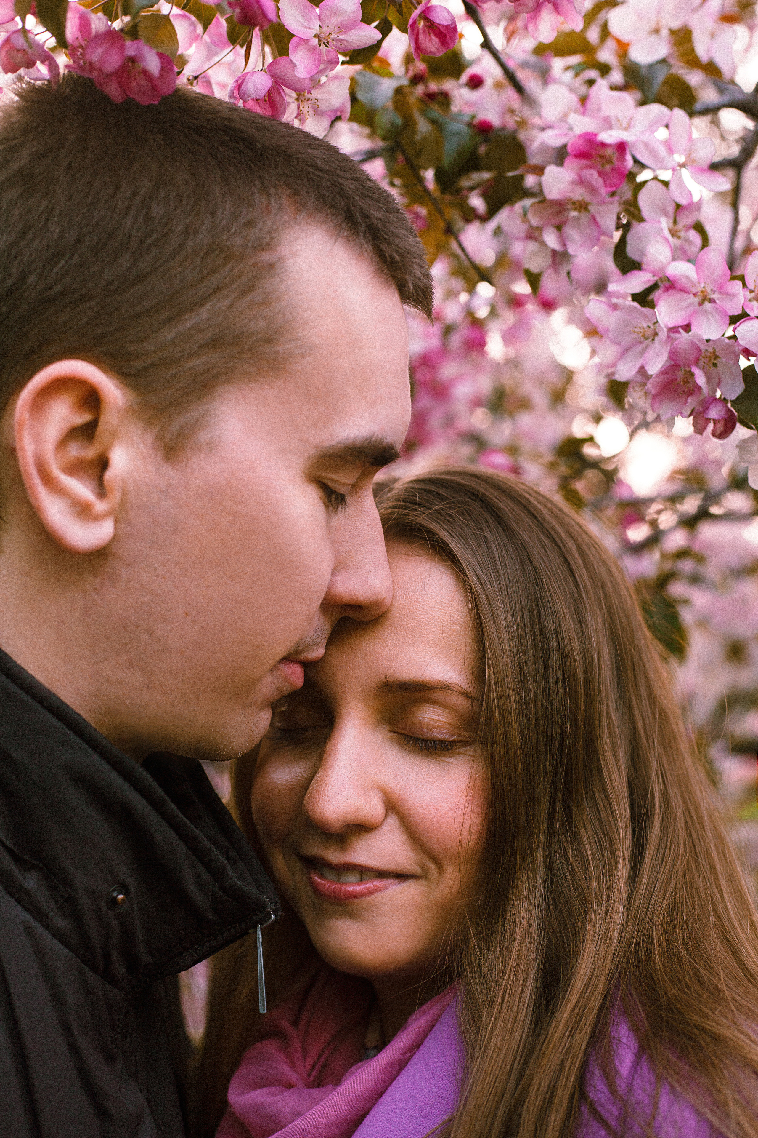 Когда цветёт сакура…. Фотограф в Сербии Азалия Фомина