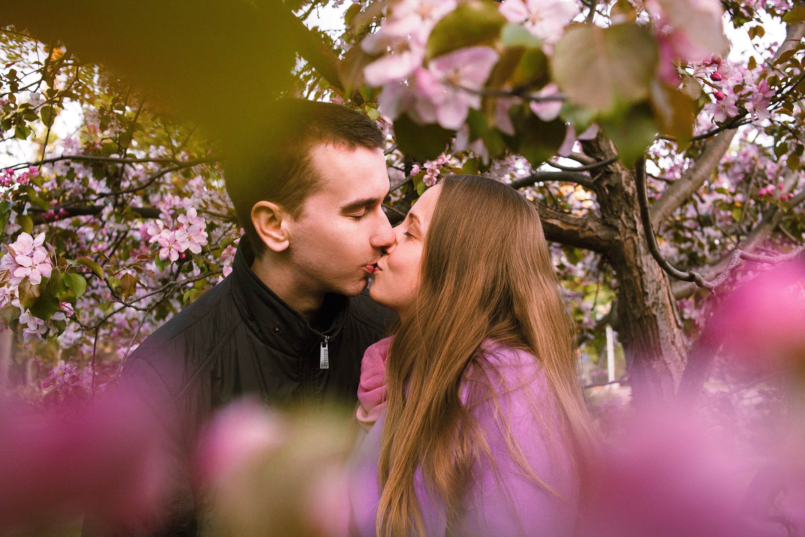 Когда цветёт сакура…. Фотограф в Сербии Азалия Фомина