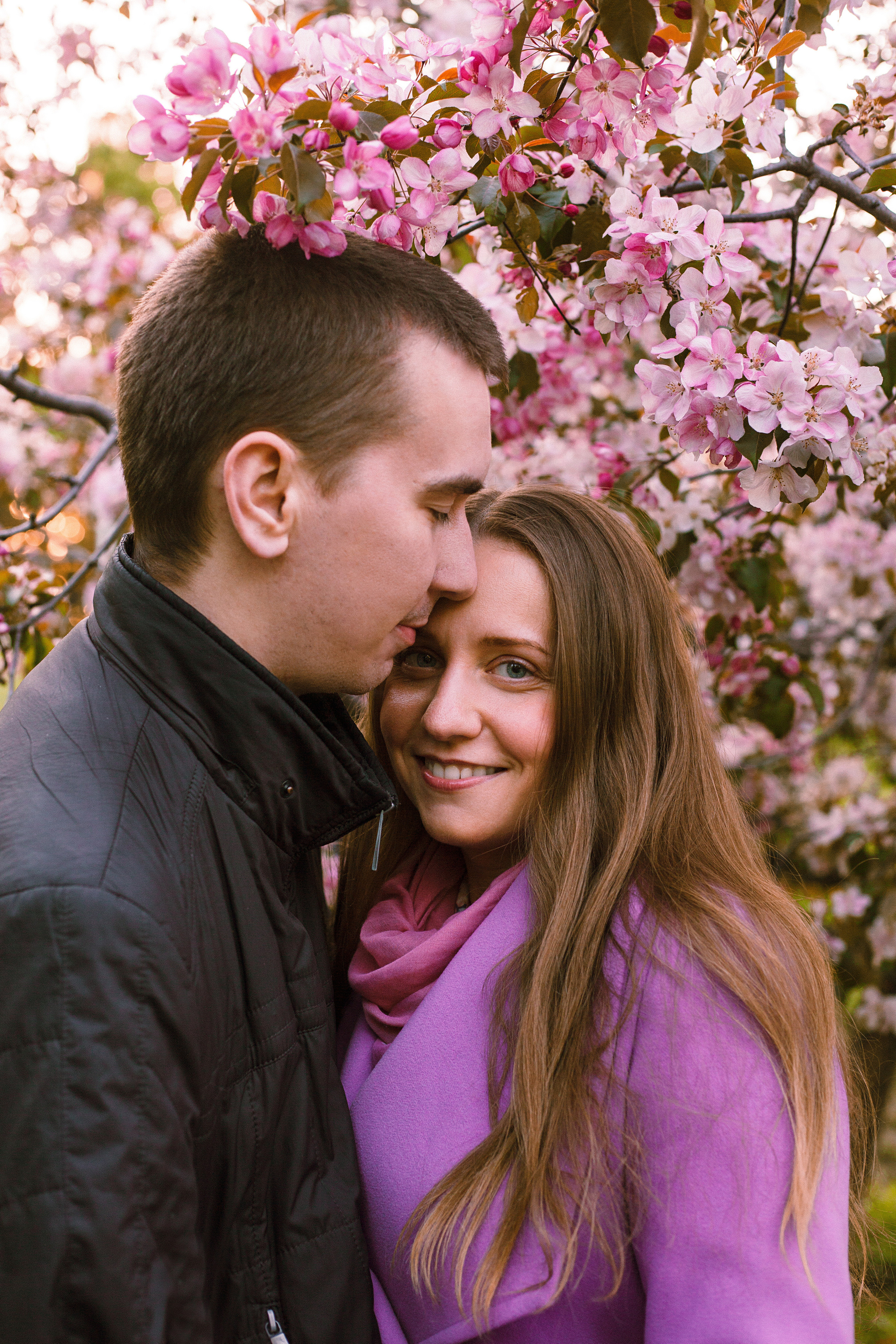 Когда цветёт сакура…. Фотограф в Сербии Азалия Фомина