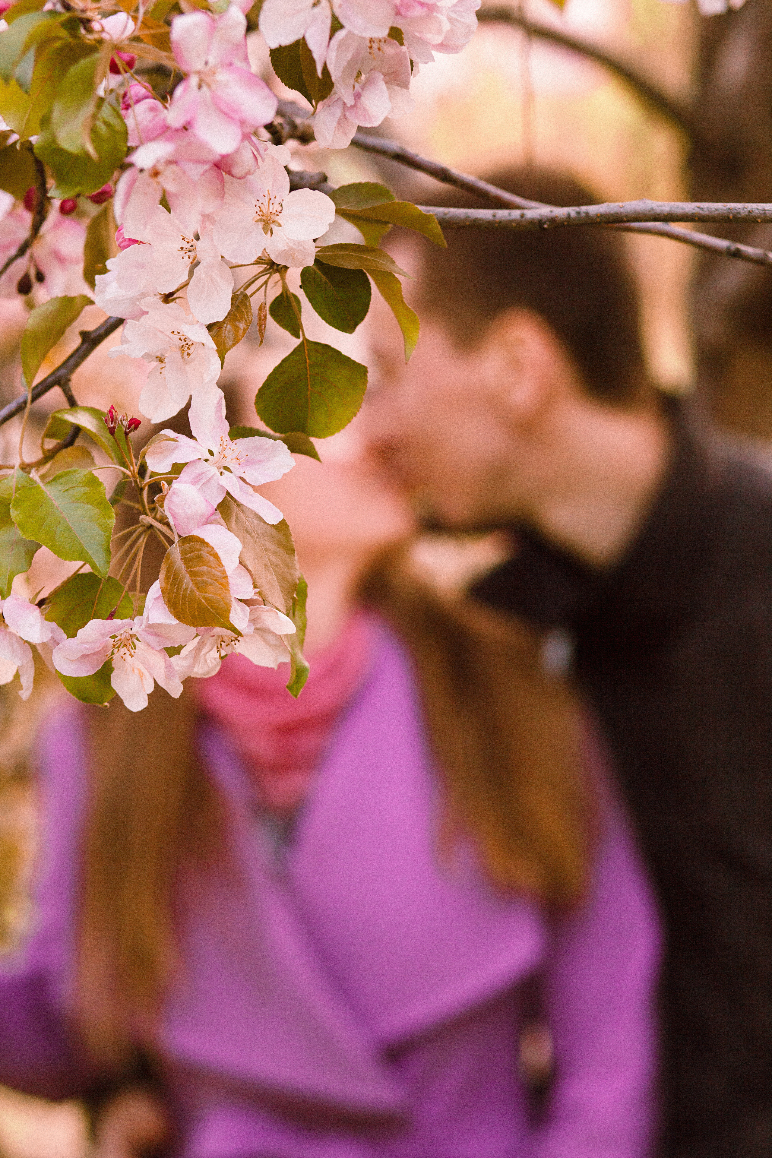 Когда цветёт сакура…. Фотограф в Сербии Азалия Фомина