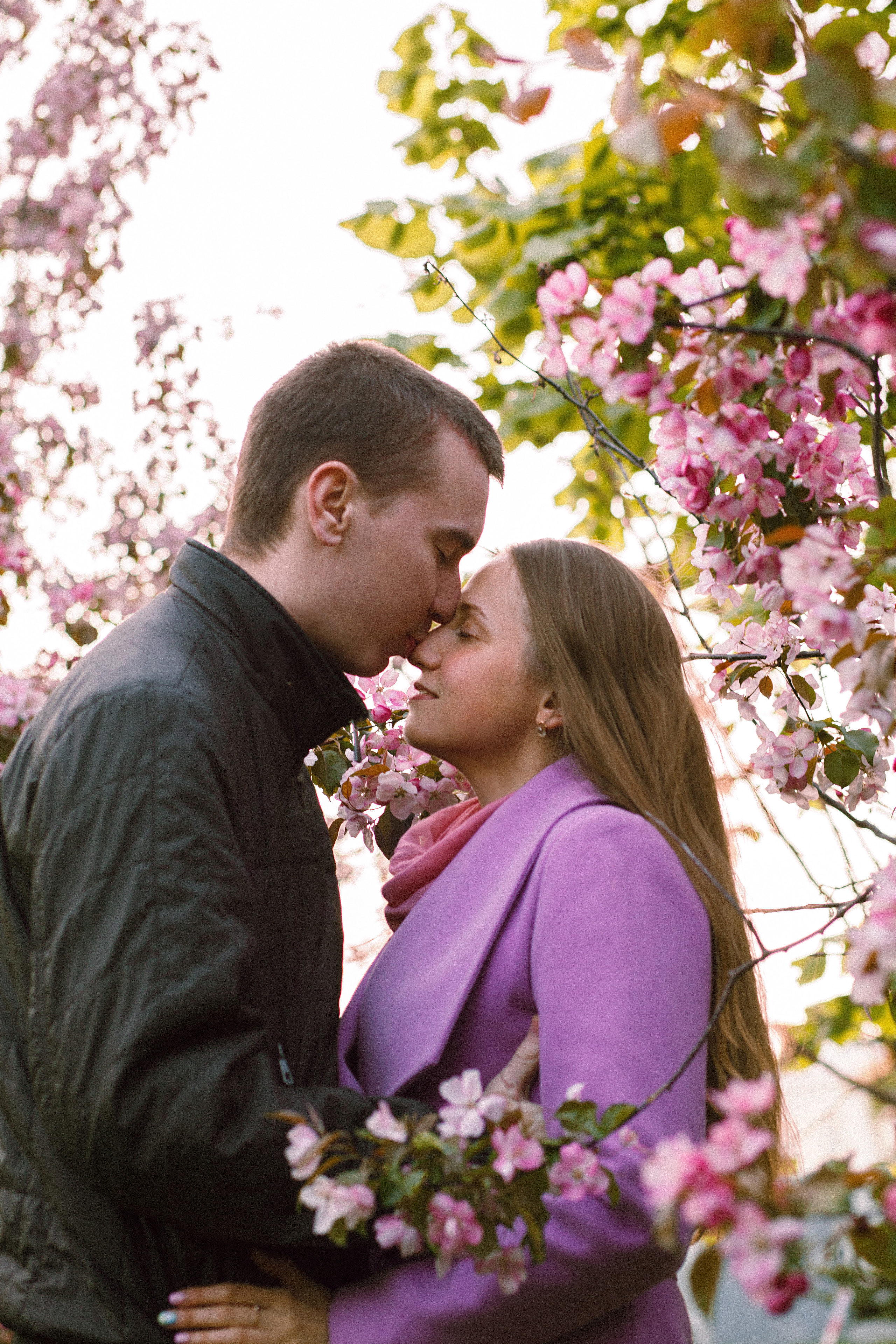 Когда цветёт сакура…. Фотограф в Сербии Азалия Фомина