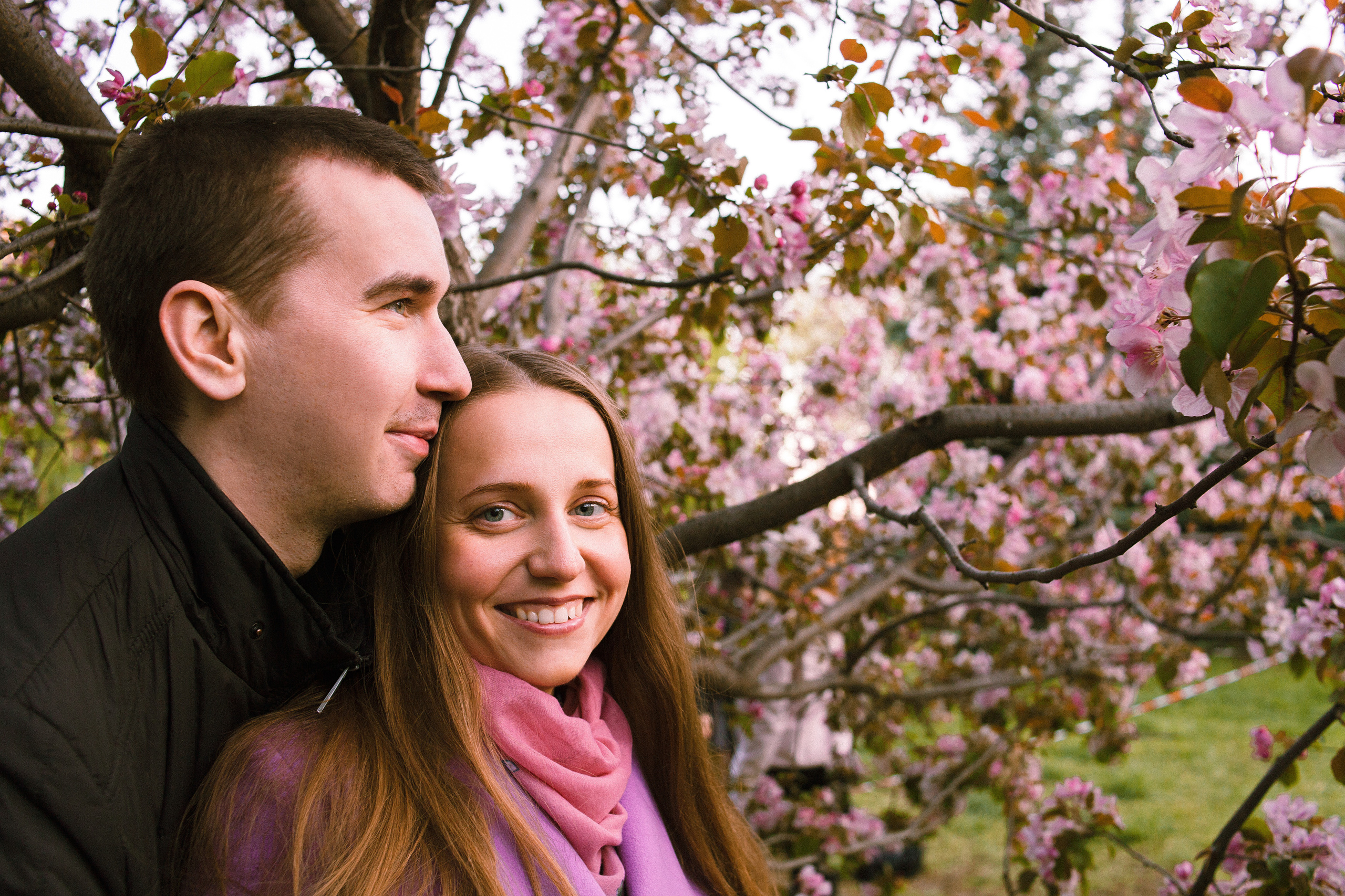 Когда цветёт сакура…. Фотограф в Сербии Азалия Фомина