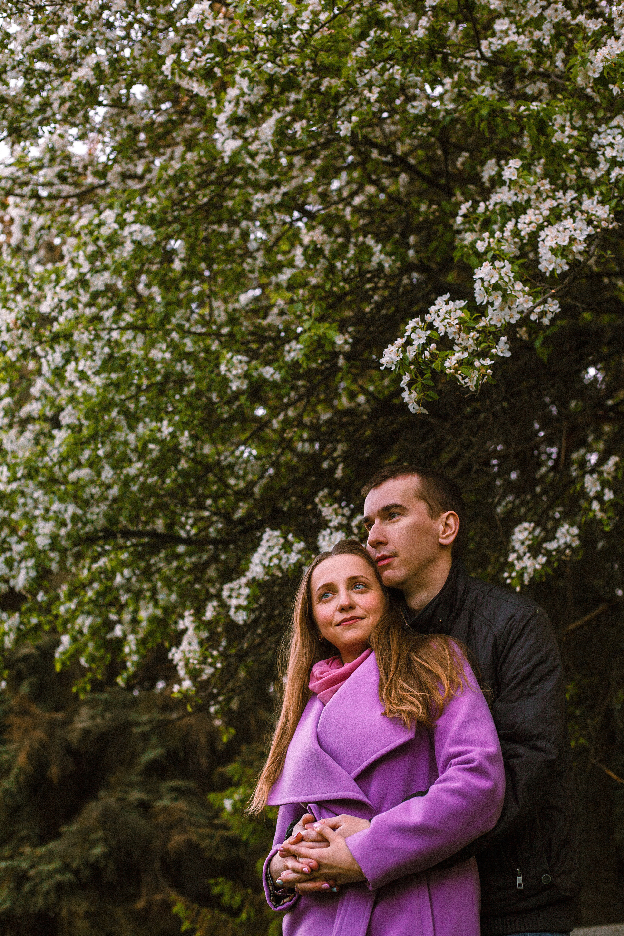 Когда цветёт сакура…. Фотограф в Сербии Азалия Фомина