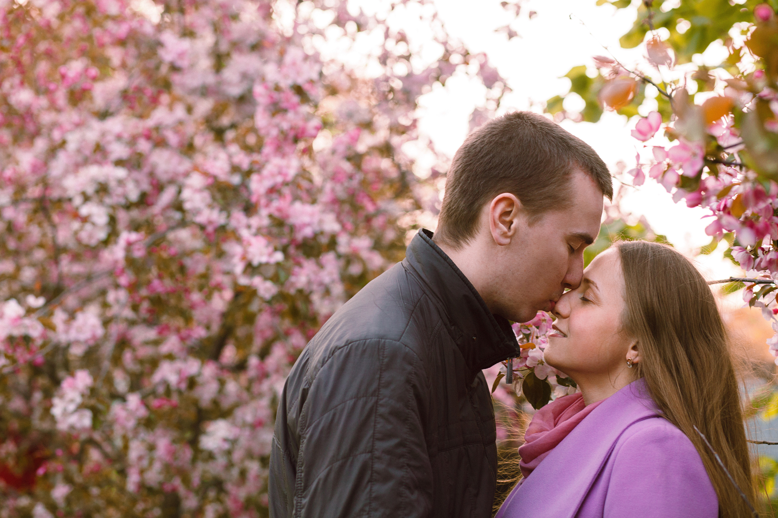 Когда цветёт сакура…. Фотограф в Сербии Азалия Фомина