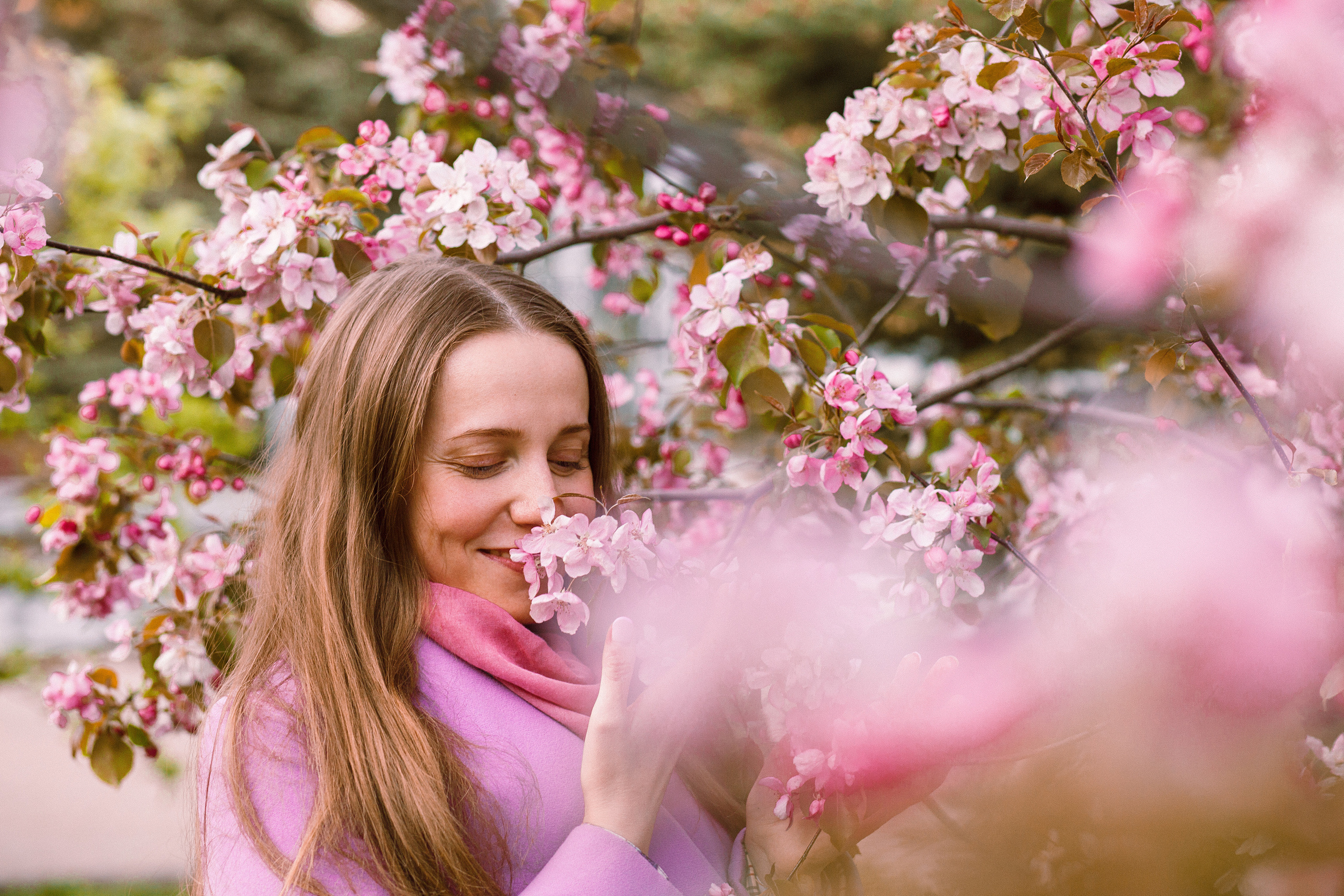 Когда цветёт сакура…. Фотограф в Сербии Азалия Фомина