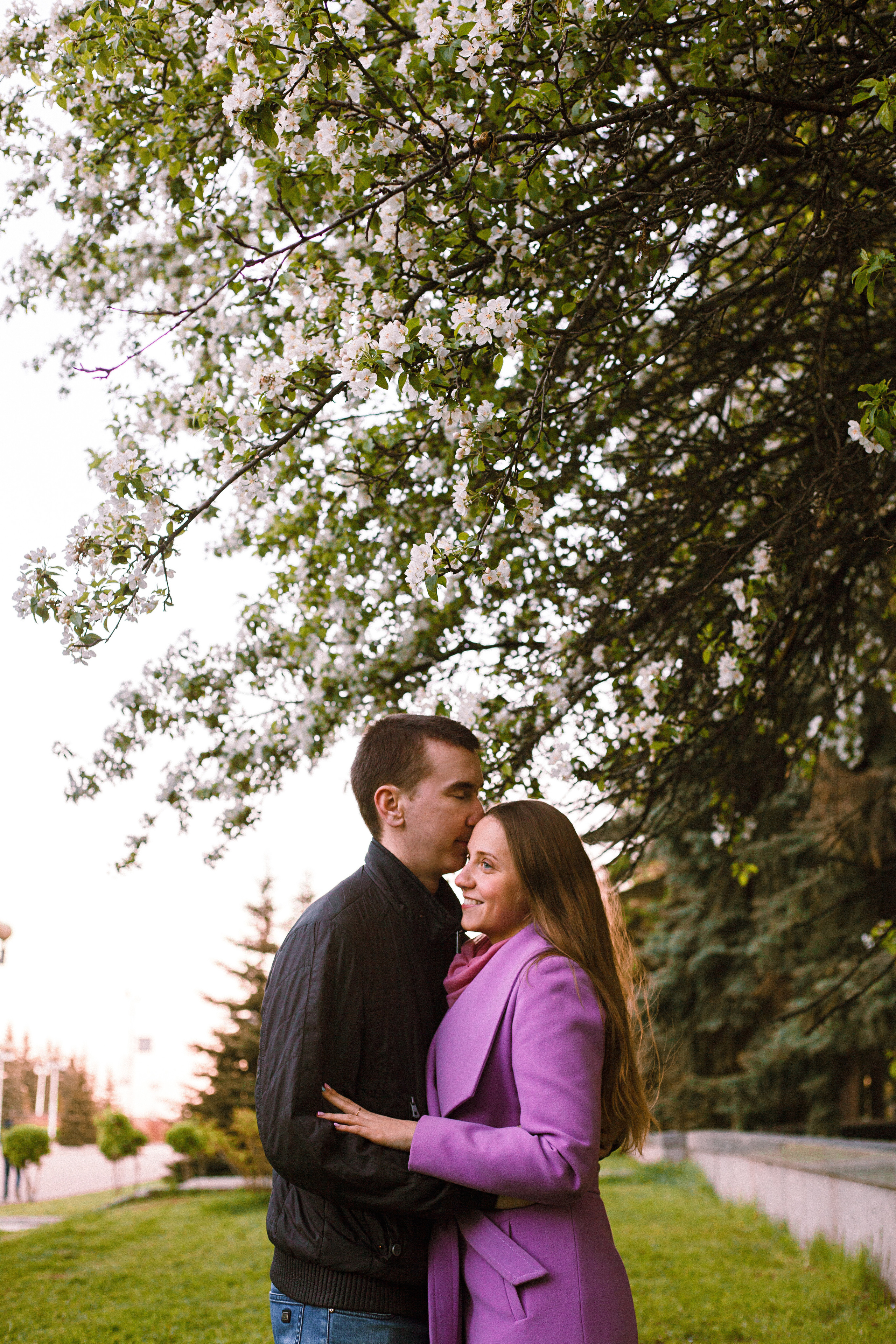 Когда цветёт сакура…. Фотограф в Сербии Азалия Фомина