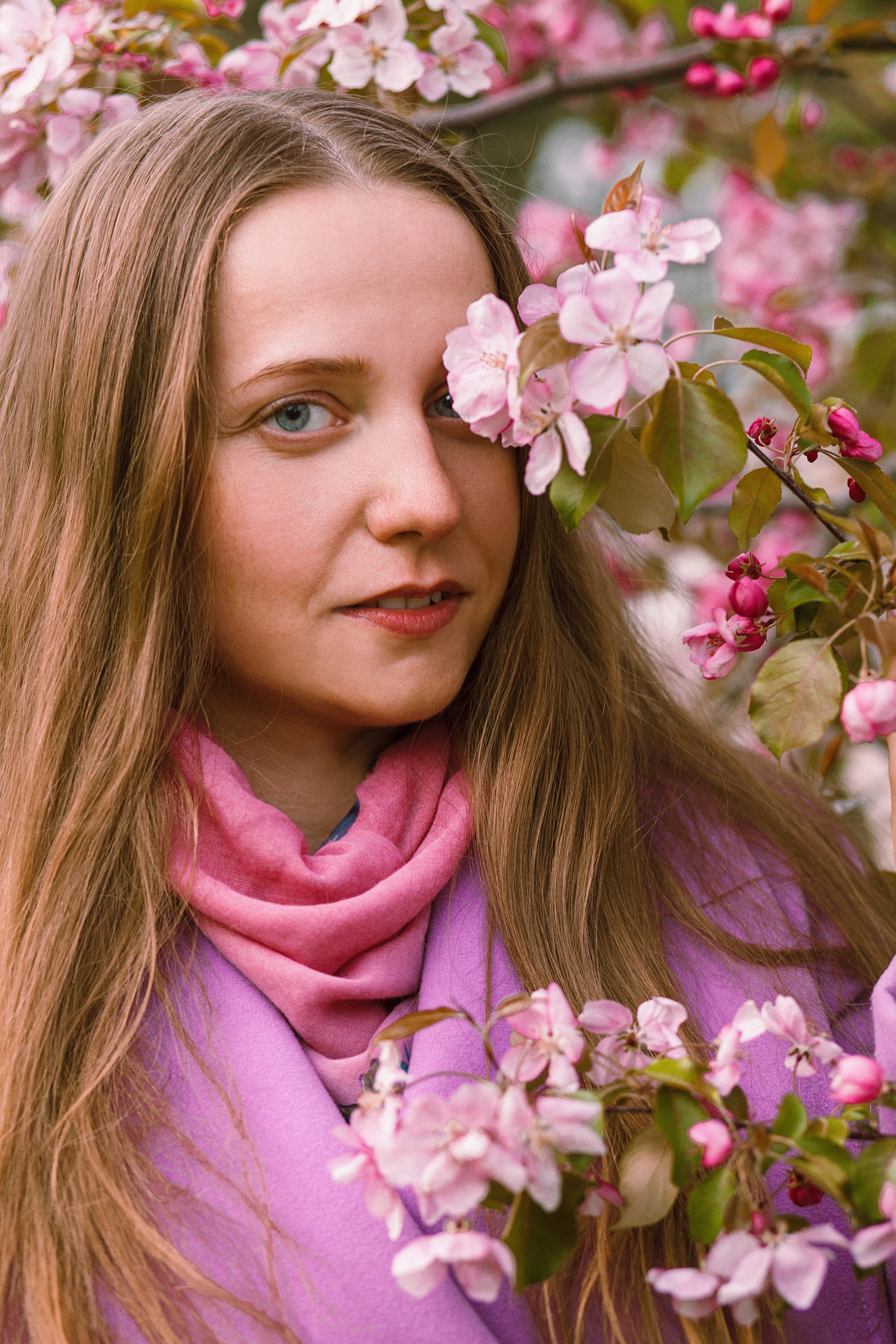 Когда цветёт сакура…. Фотограф в Сербии Азалия Фомина