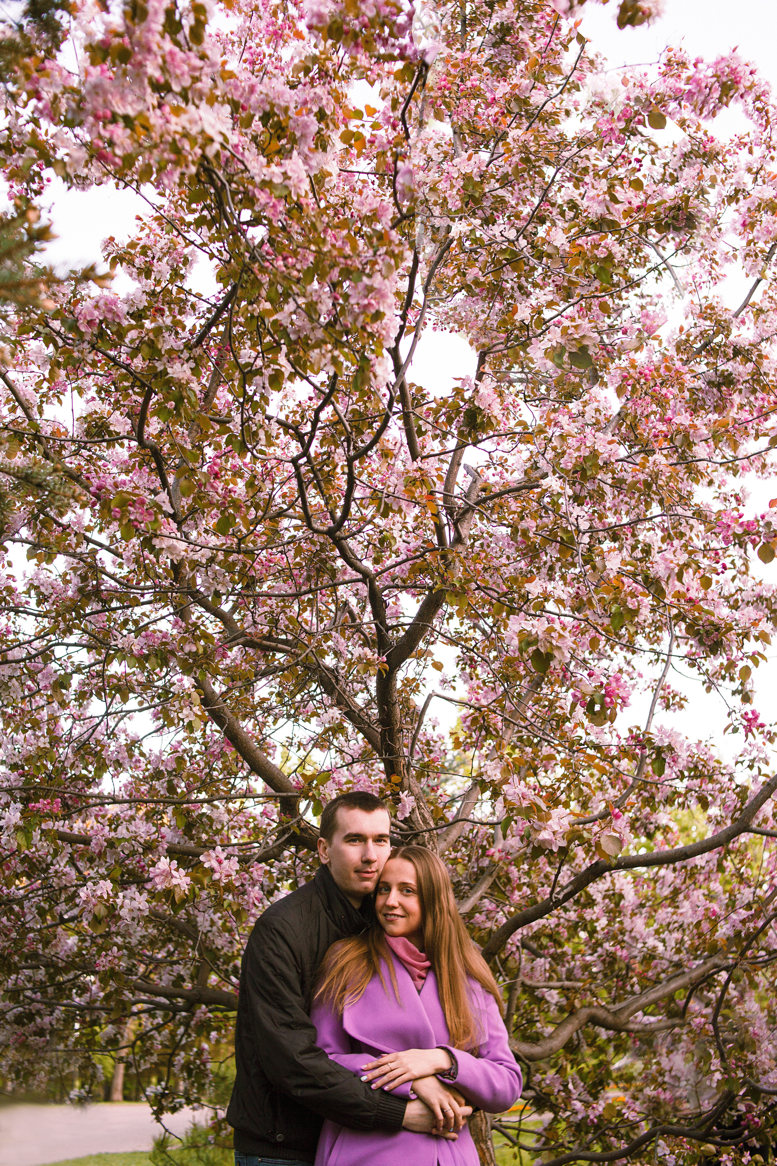 Когда цветёт сакура…. Фотограф в Сербии Азалия Фомина