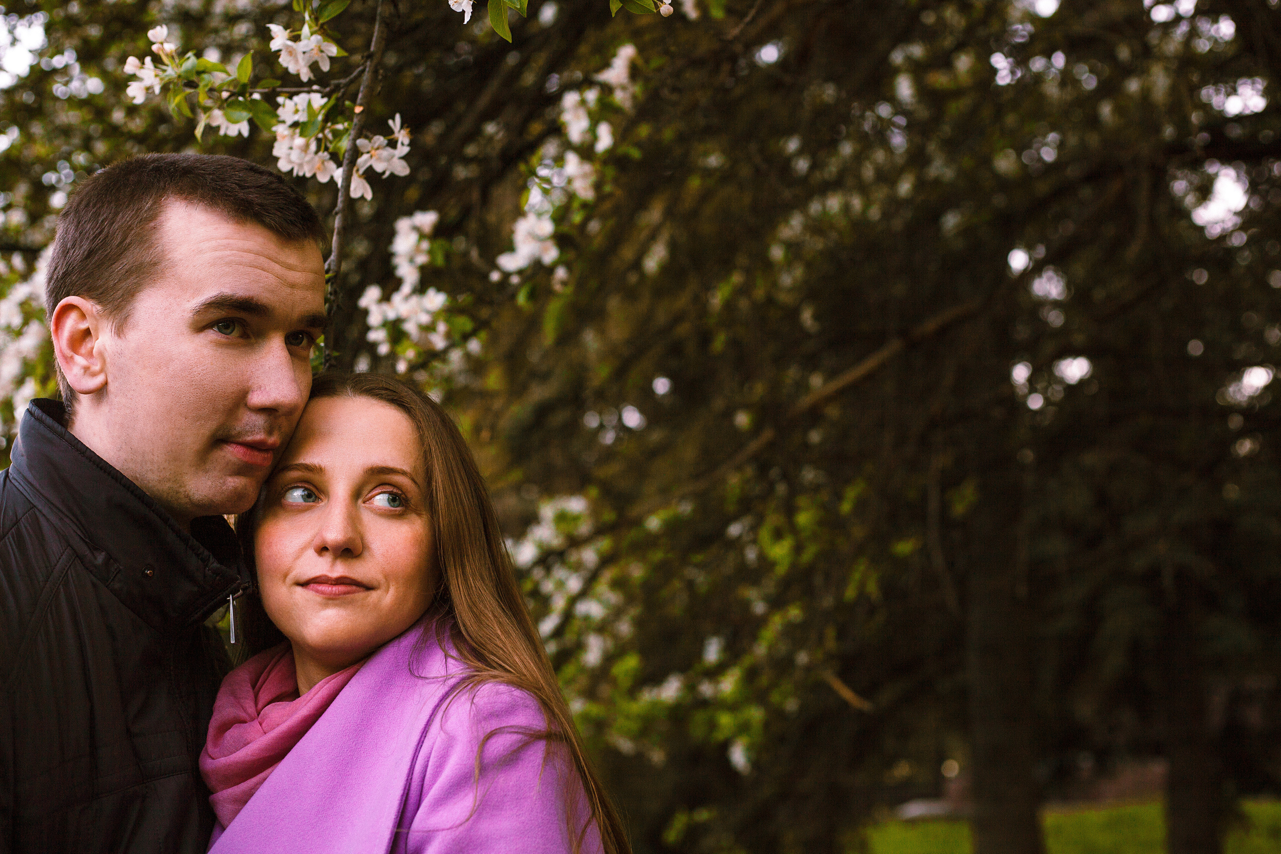 Когда цветёт сакура…. Фотограф в Сербии Азалия Фомина