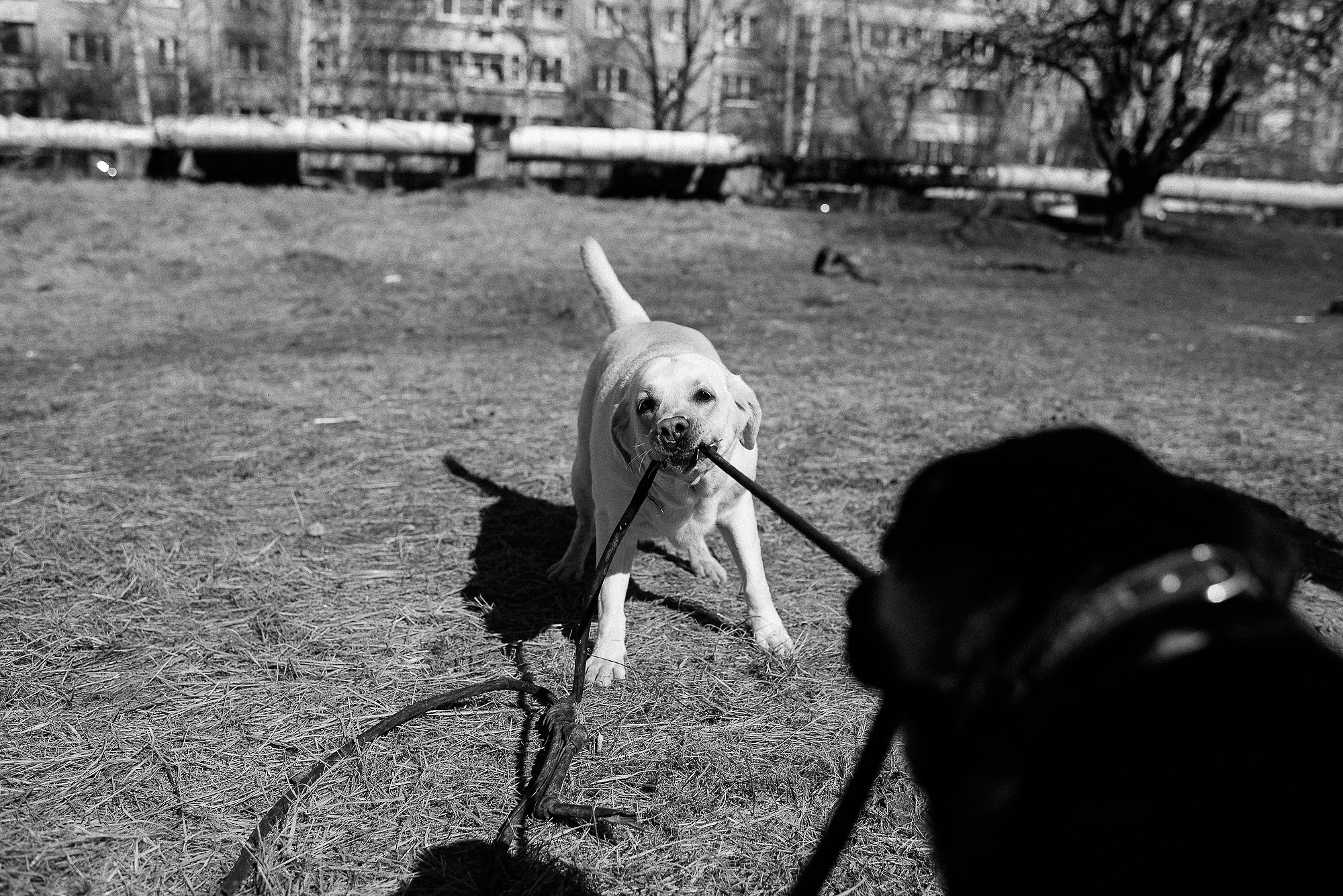 Больше, чем проводник. Промышленная и репортажная фотография