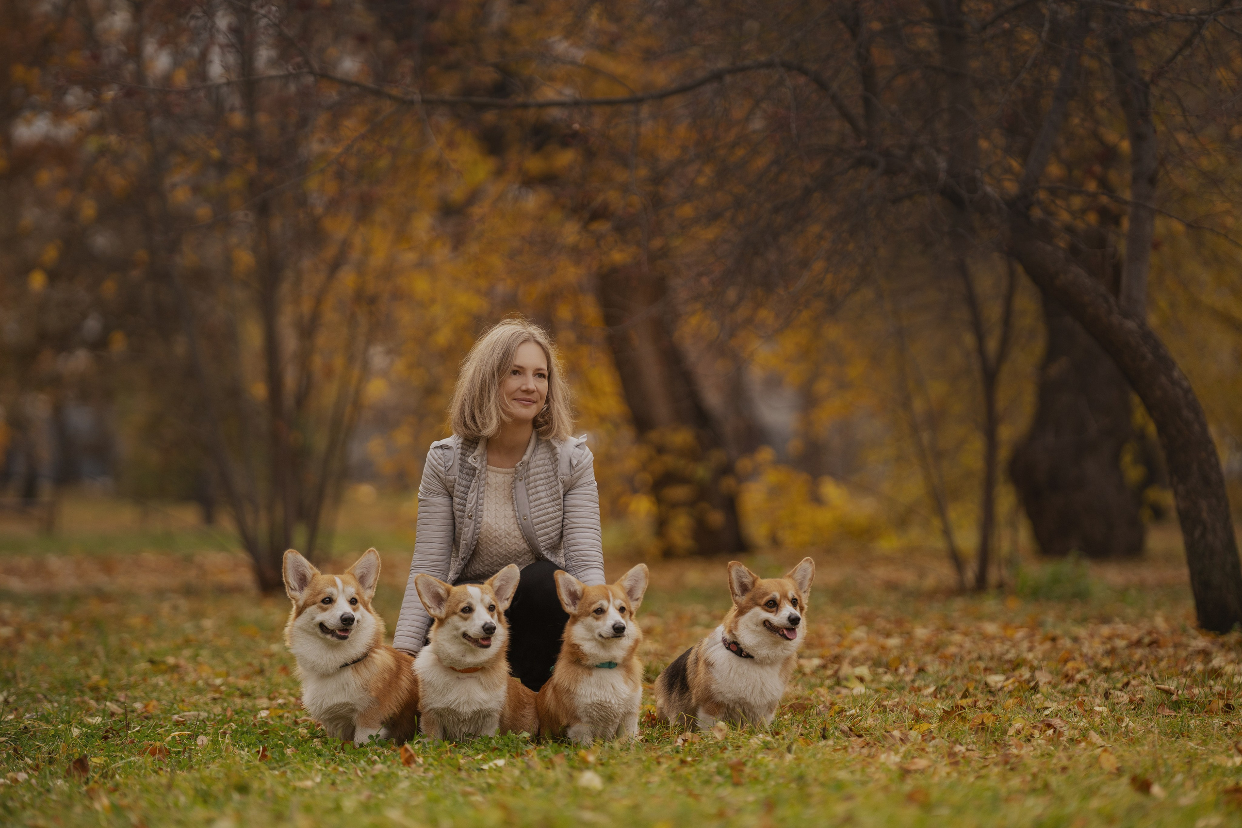 Ольга с семьей и их коргибанда. Kameramotor74