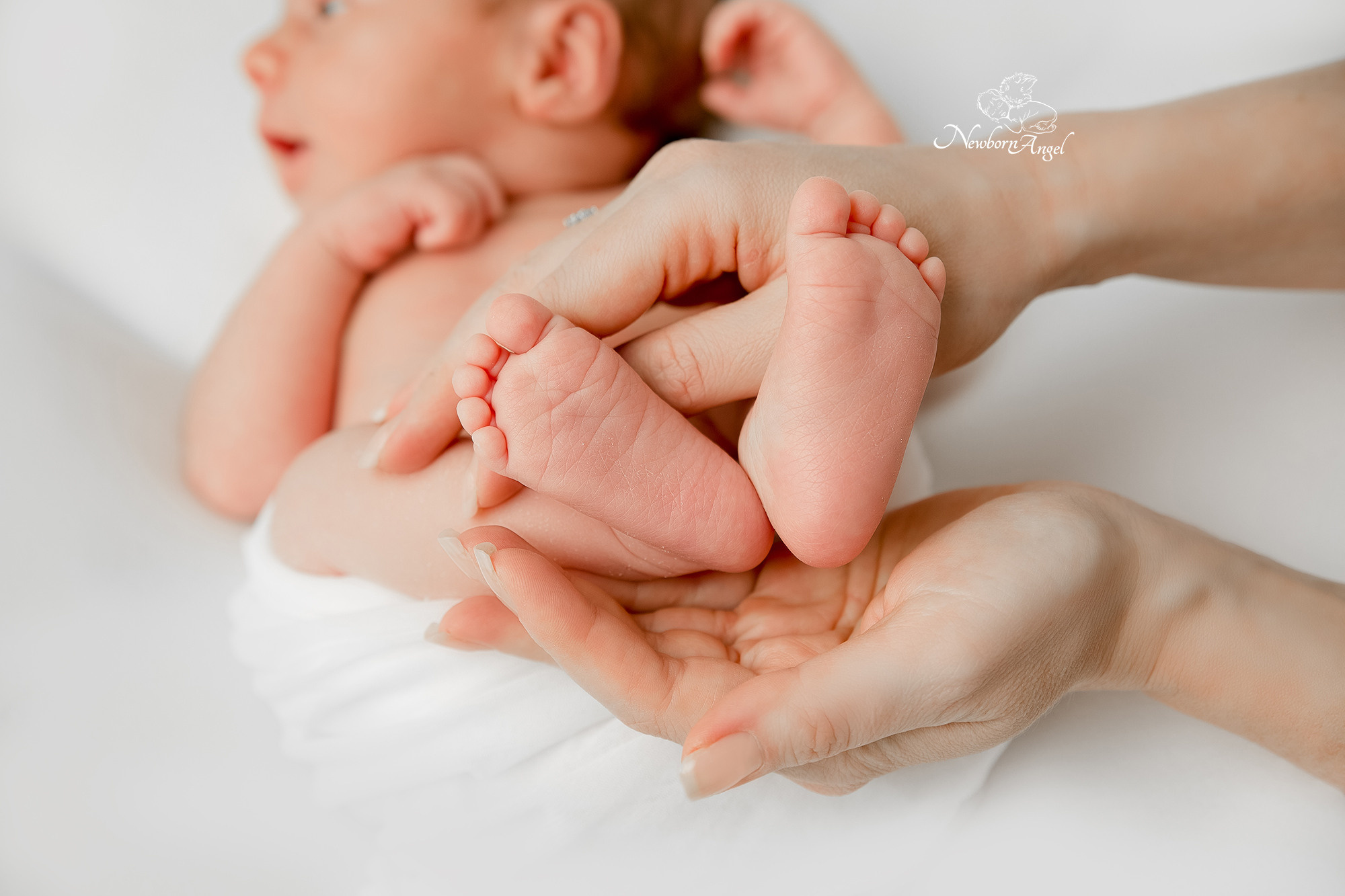 Фотосессия новорожденных. Фотосессия новорожденного в Москве Newborn Angel