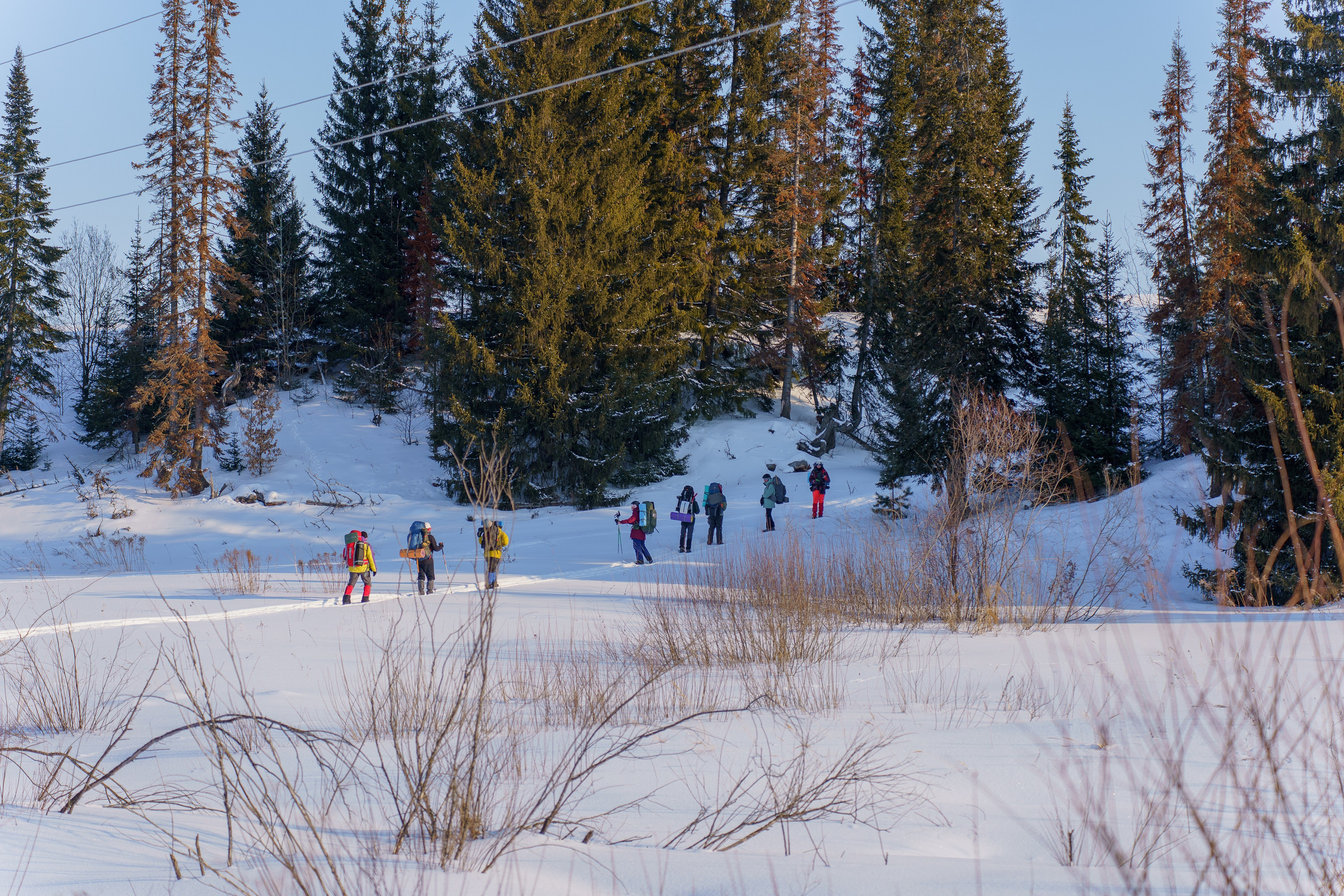 Семинар по безопасности в туризме
