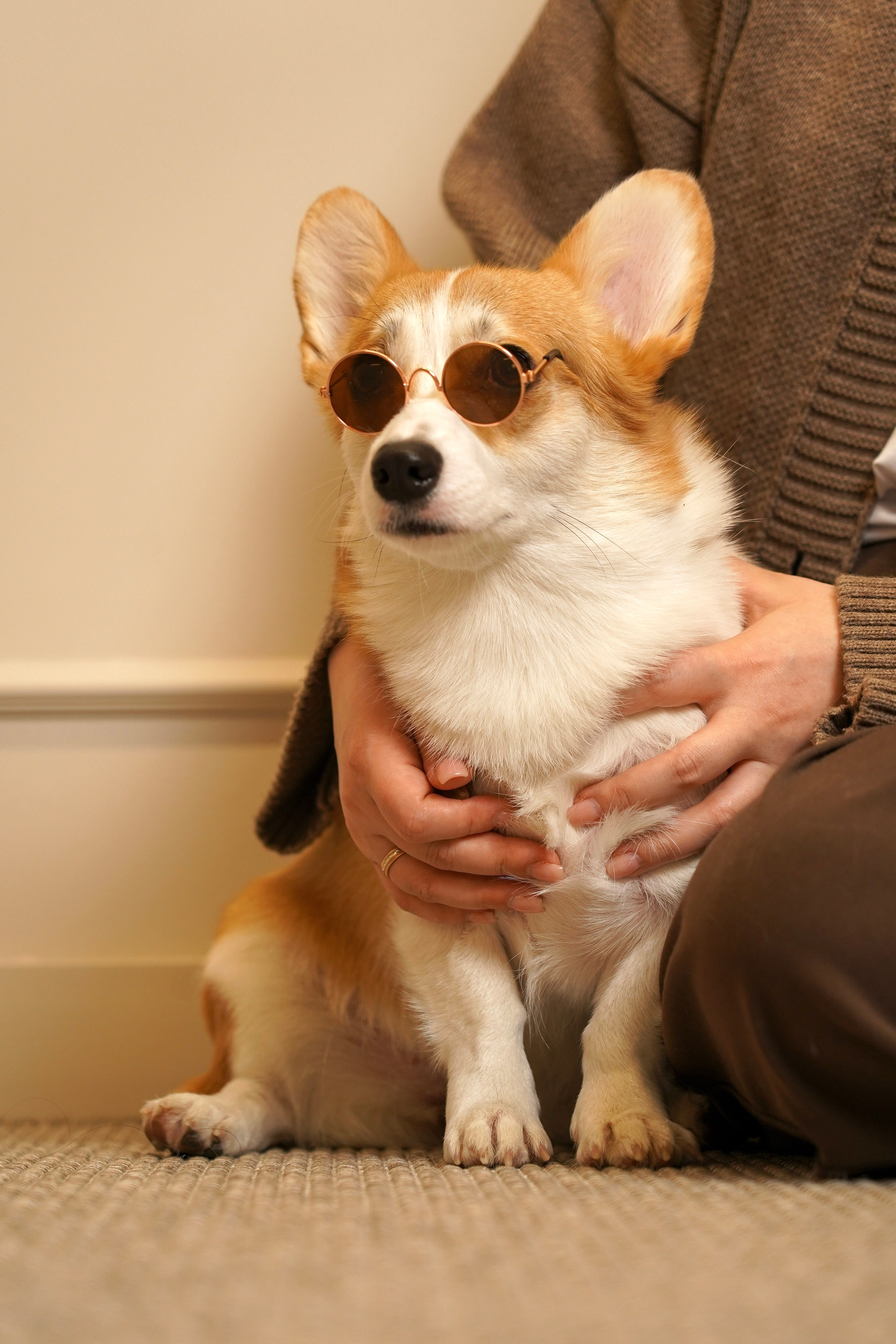 Кирилл, Анастасия и собачка Мира). Анна, фотограф Москва, Зеленоград