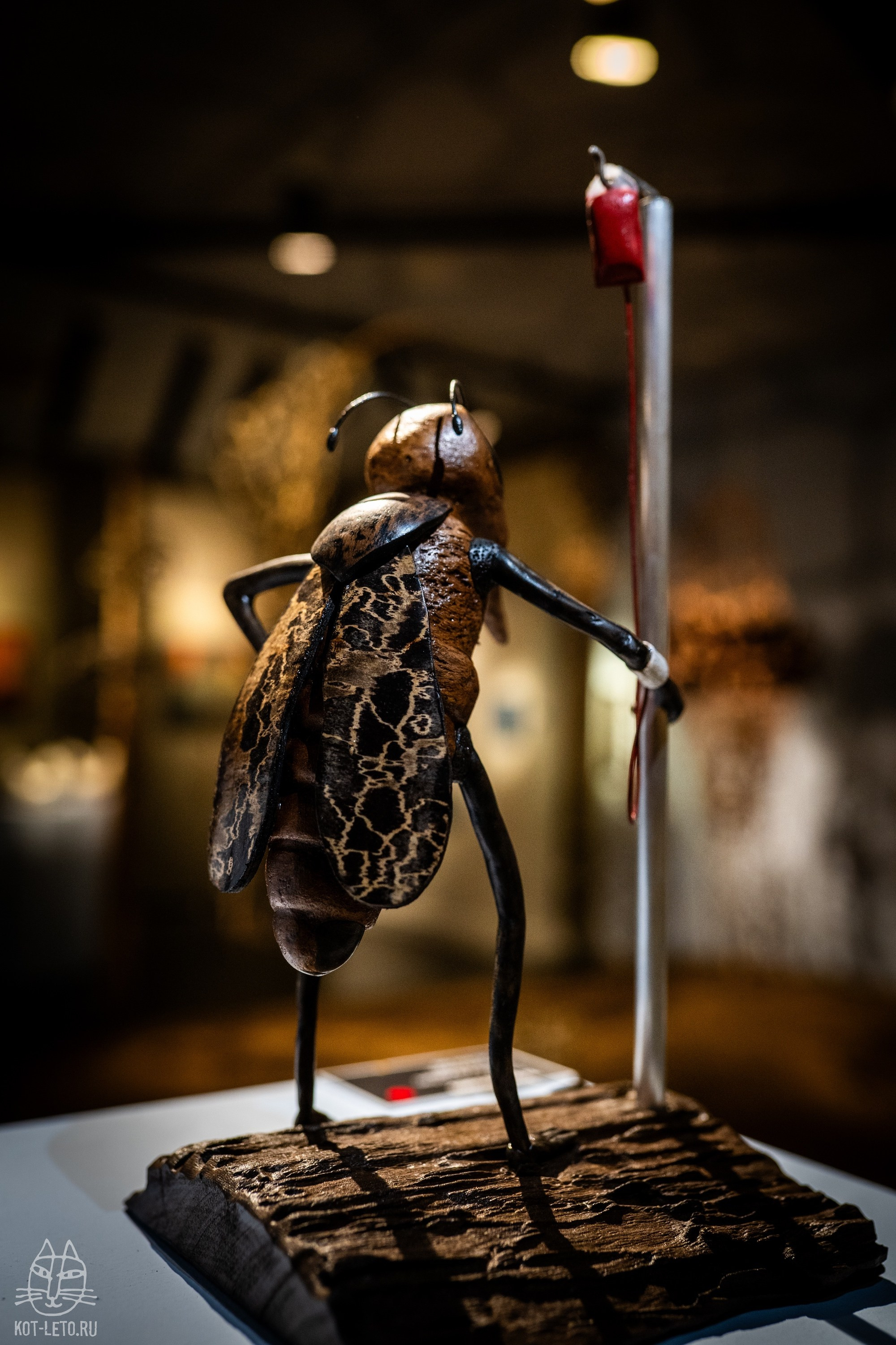 Exhibition BIOPHILIA (Goa). Твой фотограф — Полосатый кот