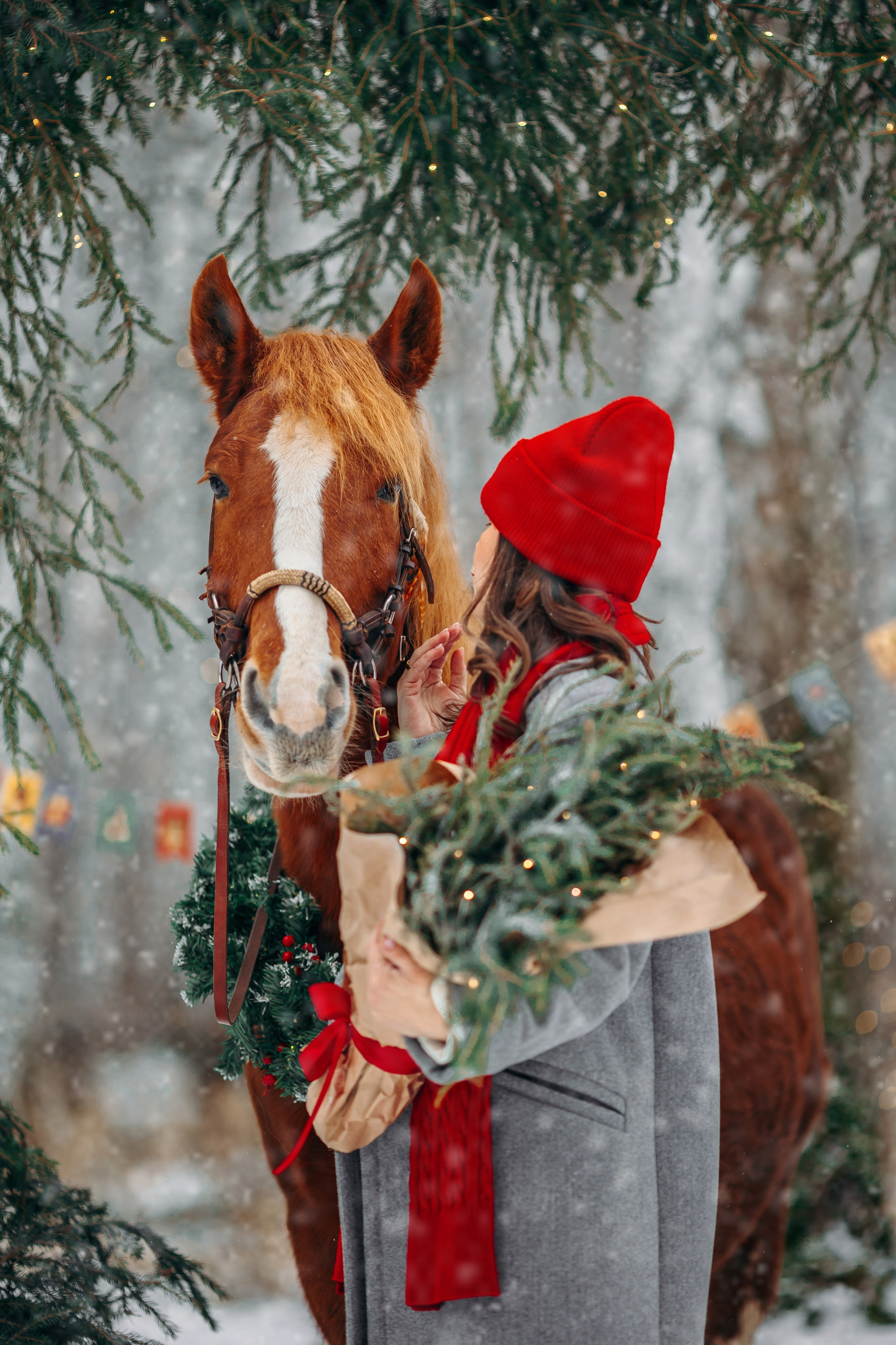Тариф Новогодний 2025-2026. Анна Молчанова конный фотограф в Тюмени | фотосессии с лошадьми Тюмень