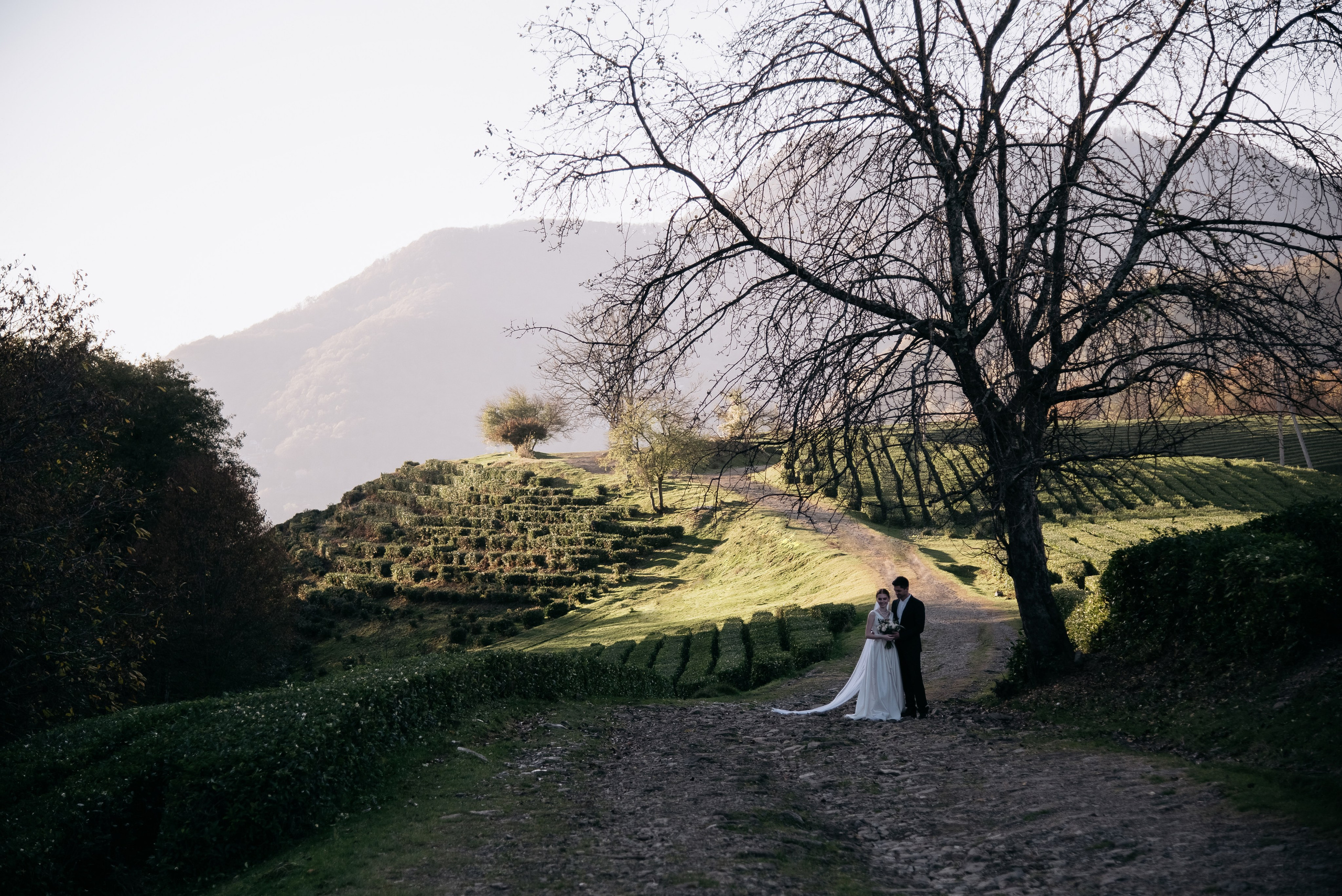 Чайные плантации Сочи. Свадебный и семейный фотограф Темрюк Алёна Ковальская