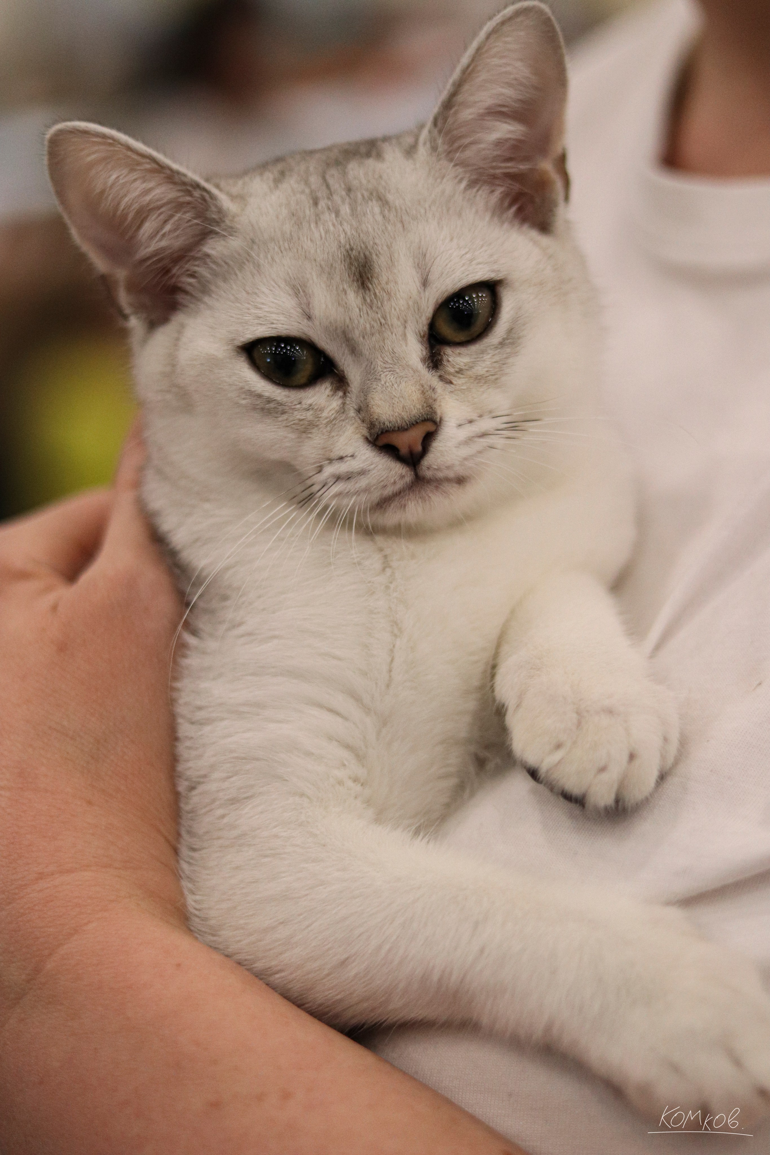 ЗооШоу. Ивентный фотограф в Санкт-Петербурге Олег Комков