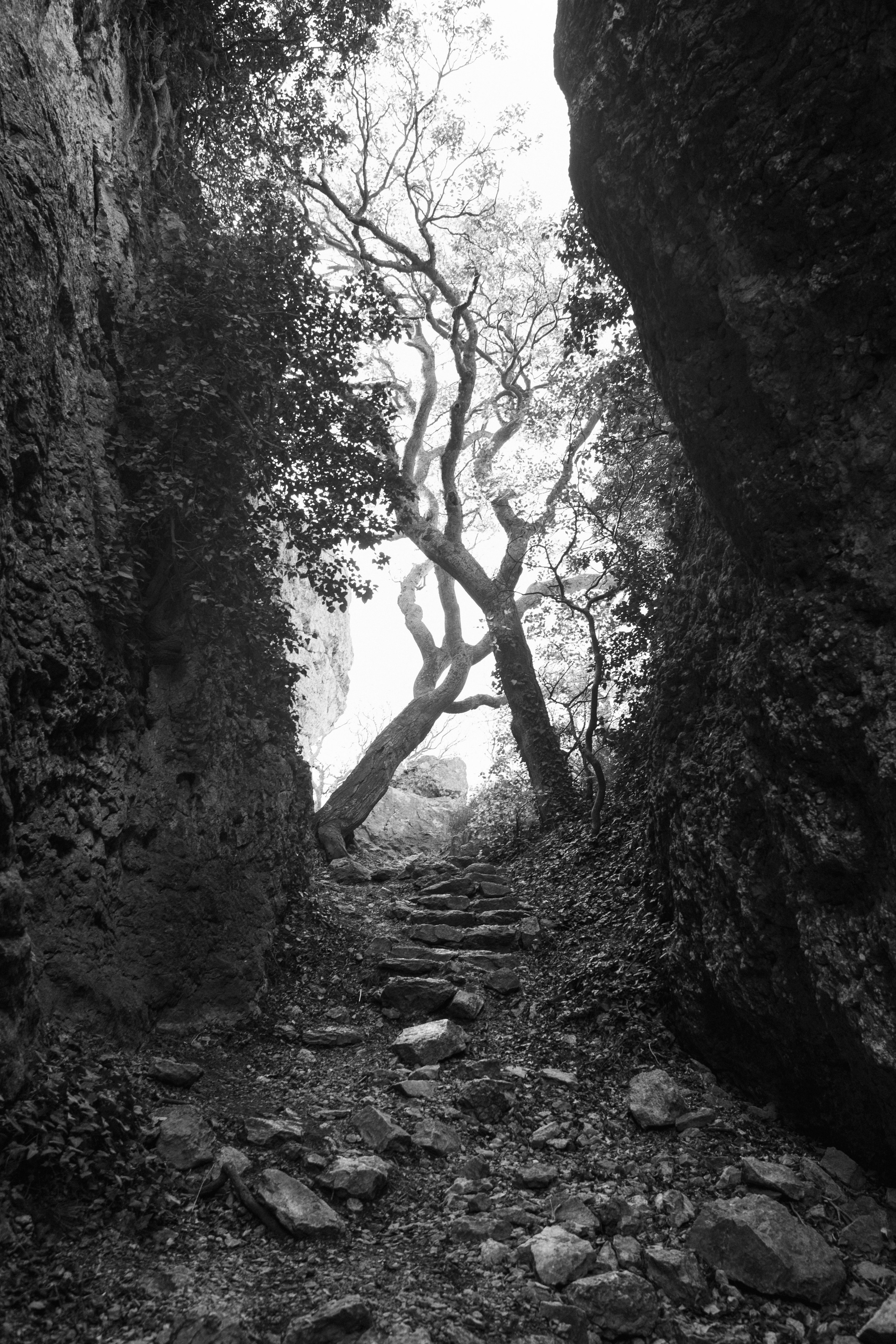 Nature. Артем Корнев Фотограф