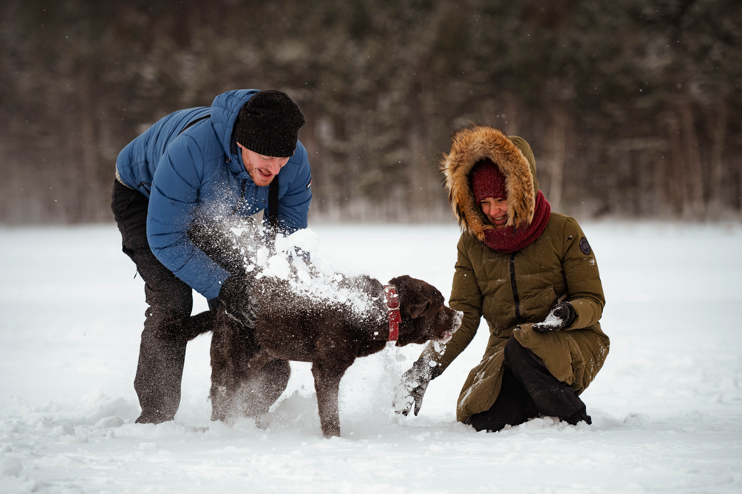 Прогулка на Лыткаринском карьере. Фотограф-анималист