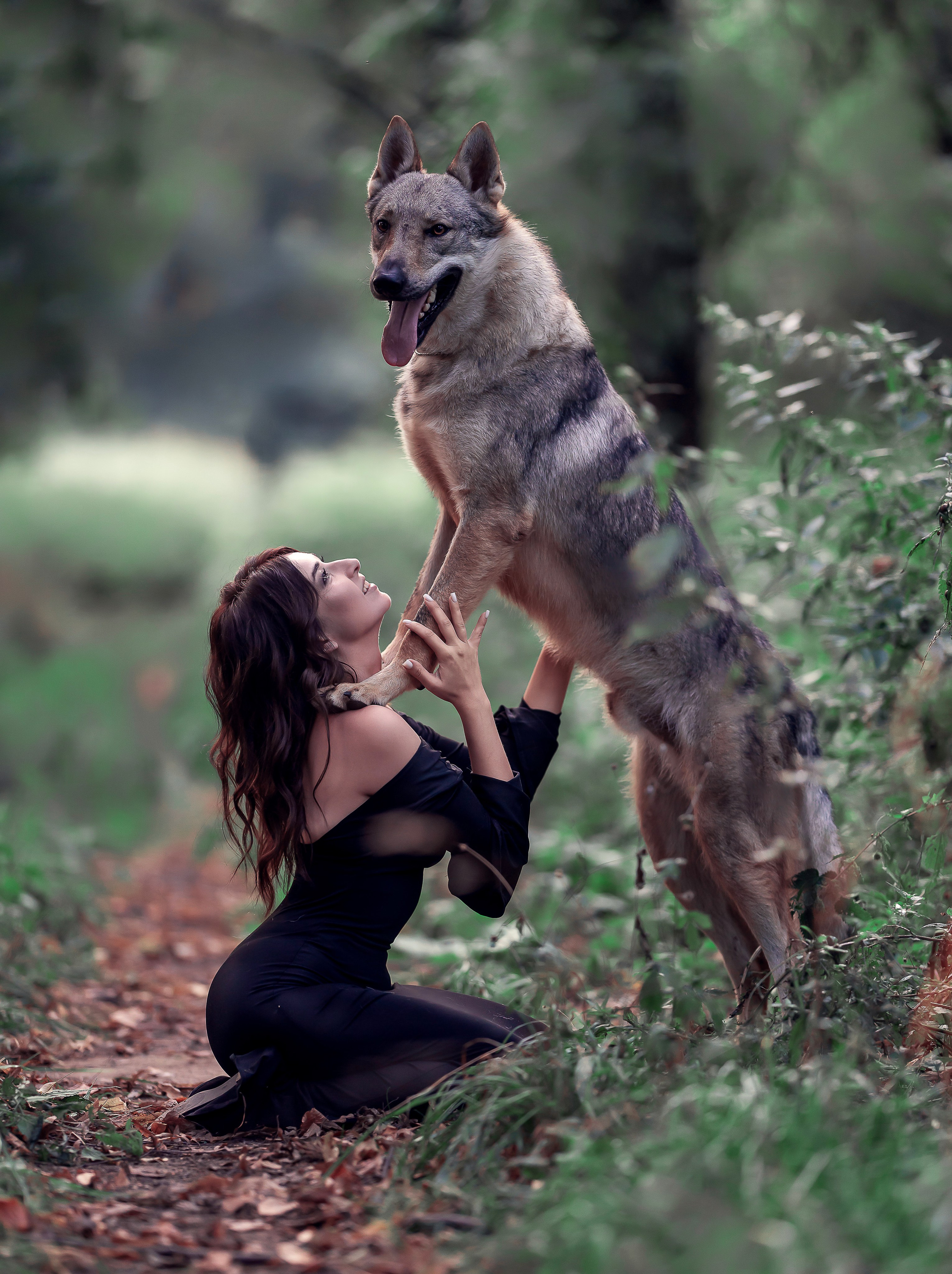 Волки. Профессиональный фотограф в Москве Марина Григорьева
