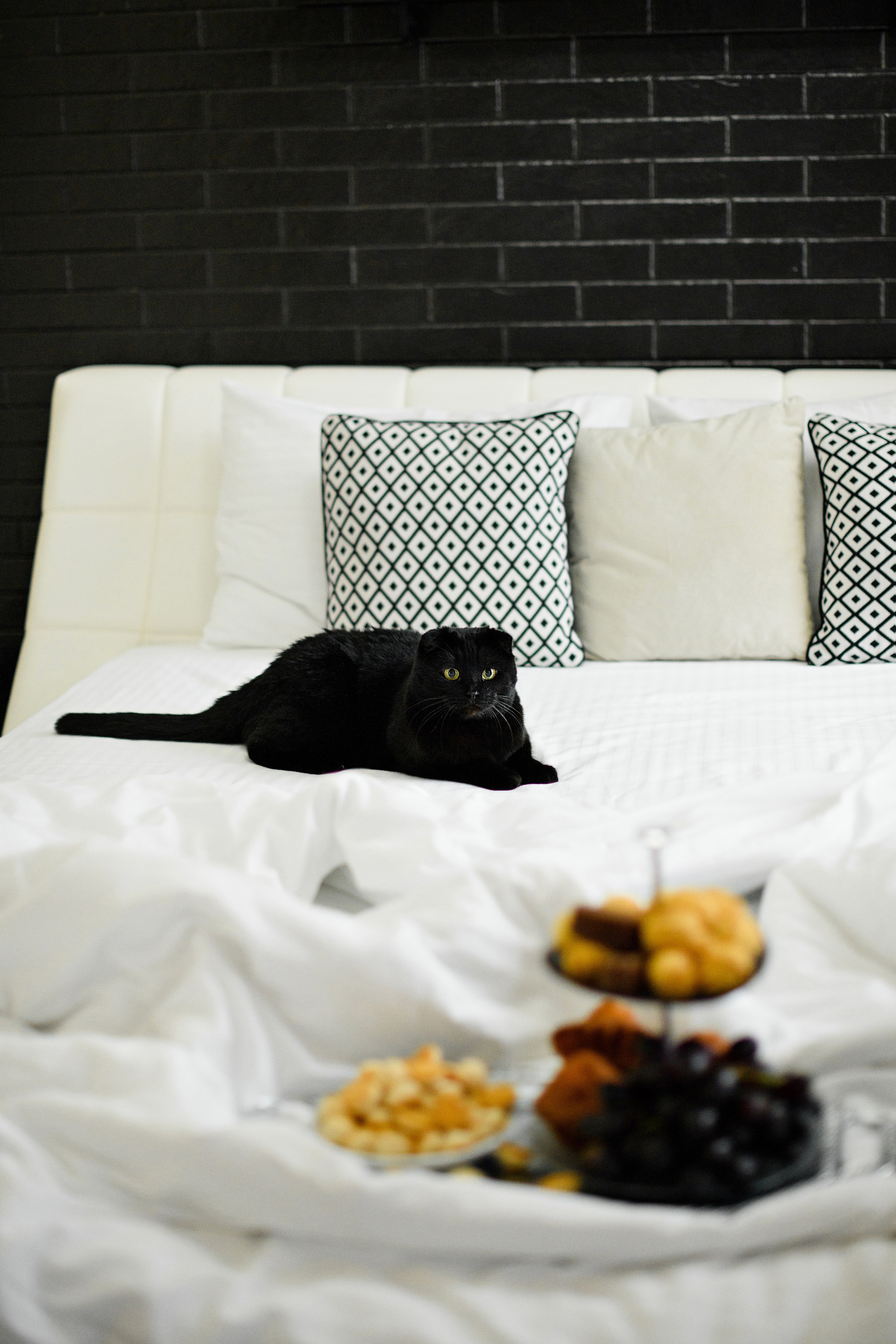 Апартаменты Agent Flat. Свадебный фотограф в Санкт-Петербурге София Шубик