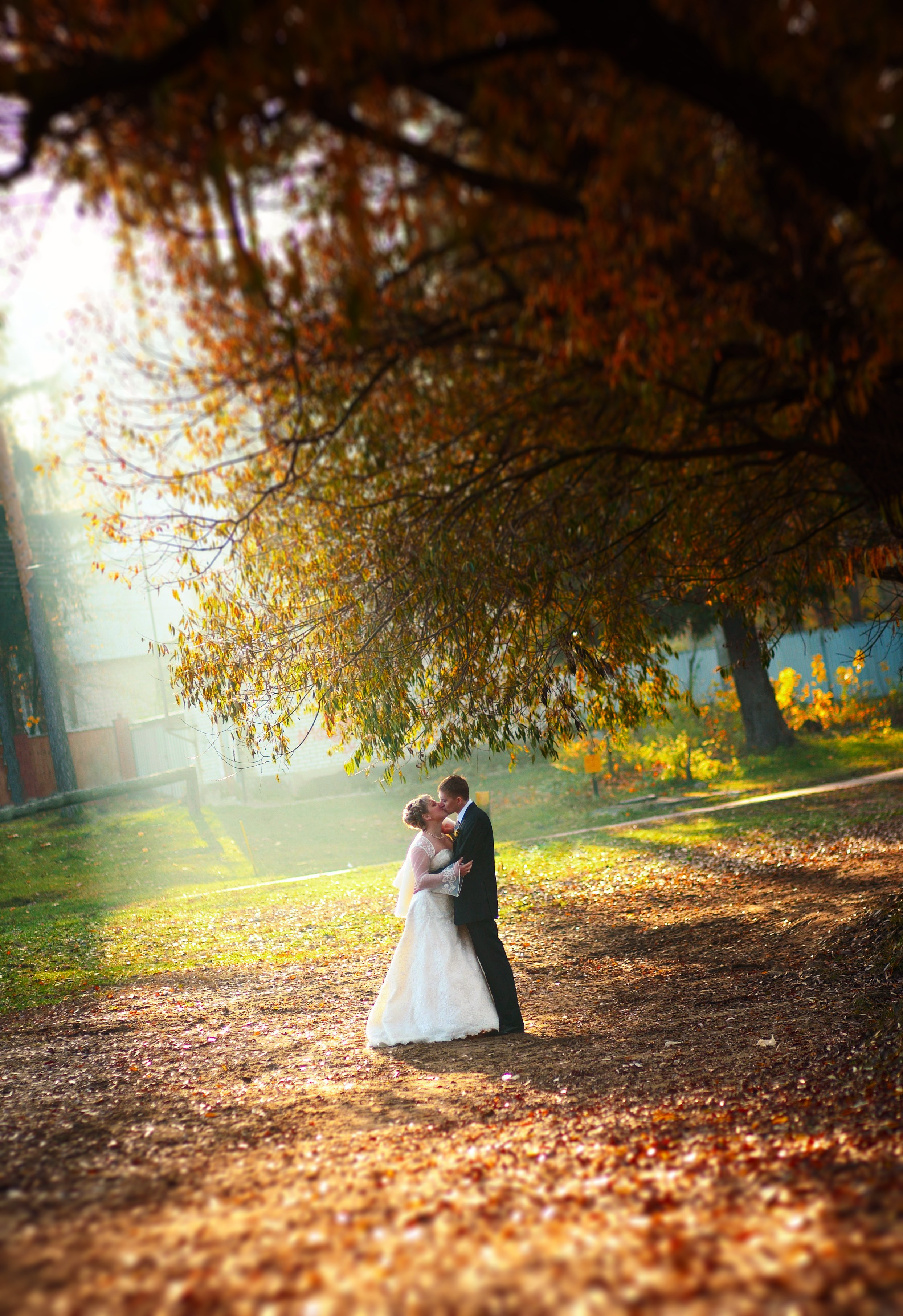 Wedding. Dmitriy Odintsov