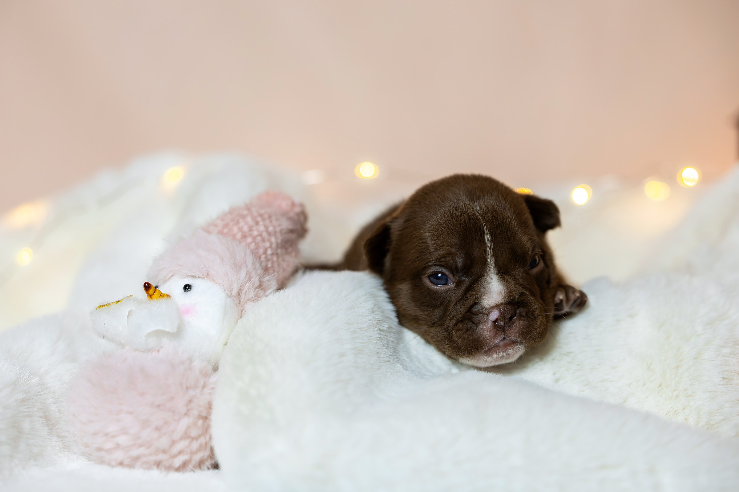 Услуги. Htykk_photo