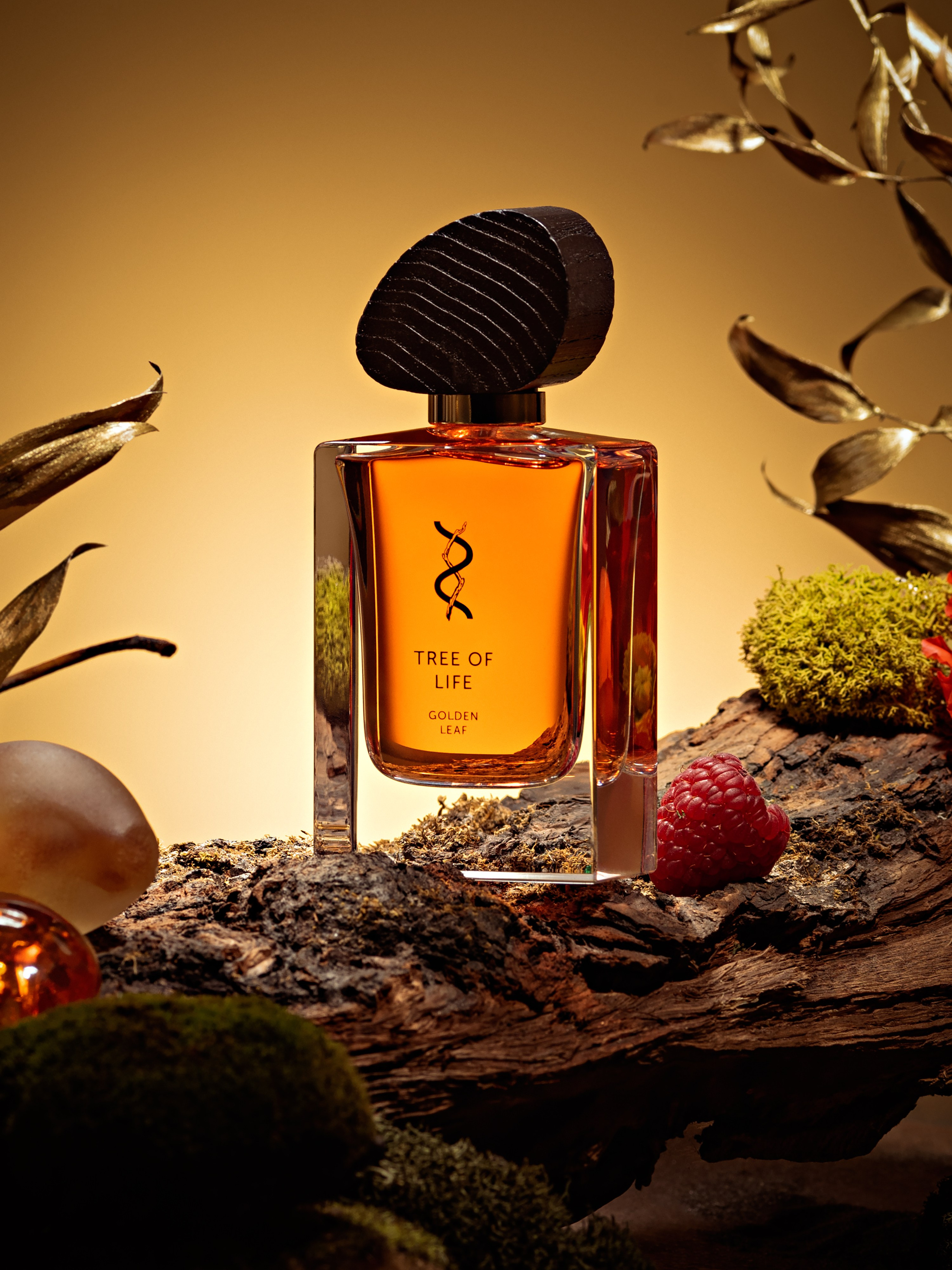 BROCARD GROUP. Асель Рембекова