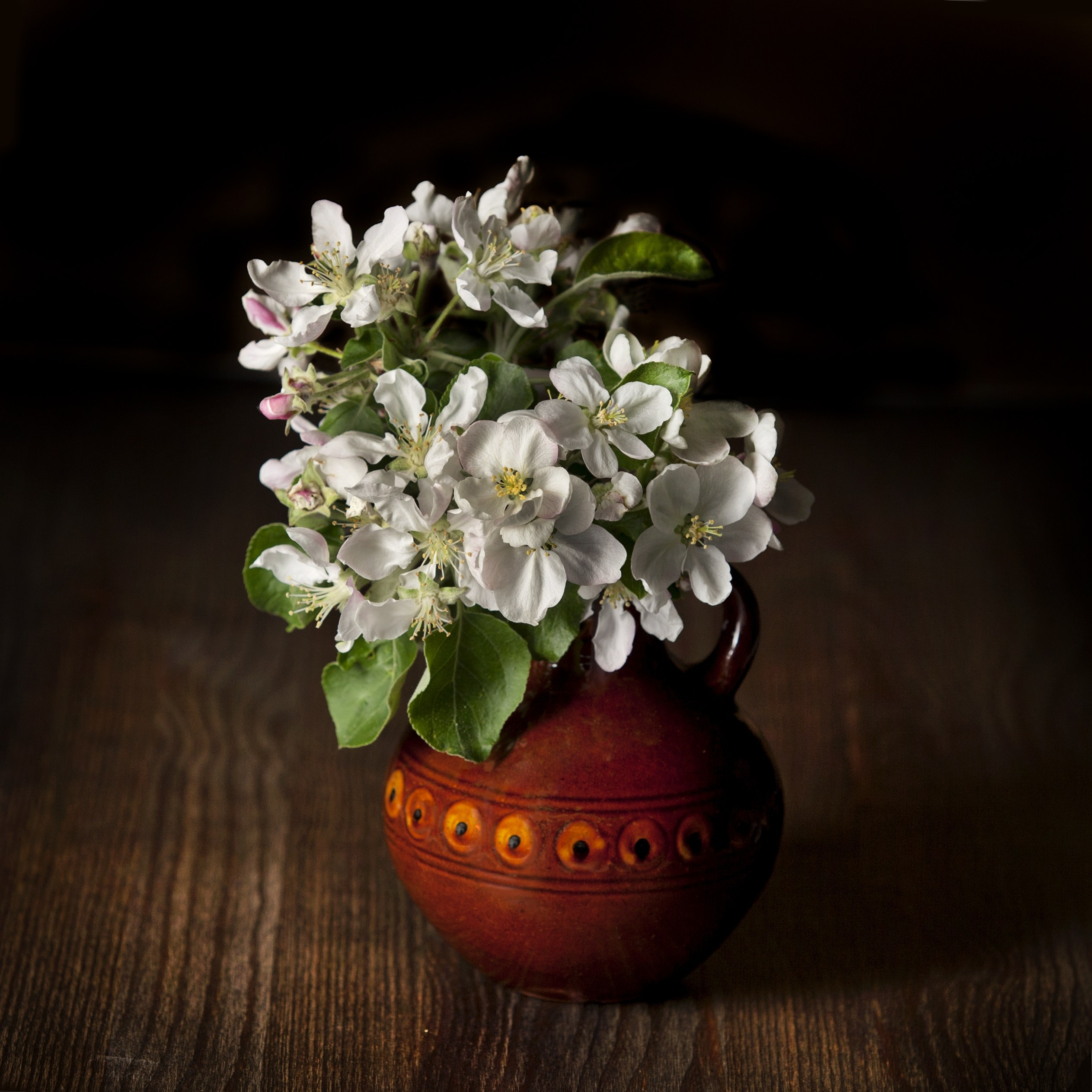 Цветы. Фотограф Мария Кольцова