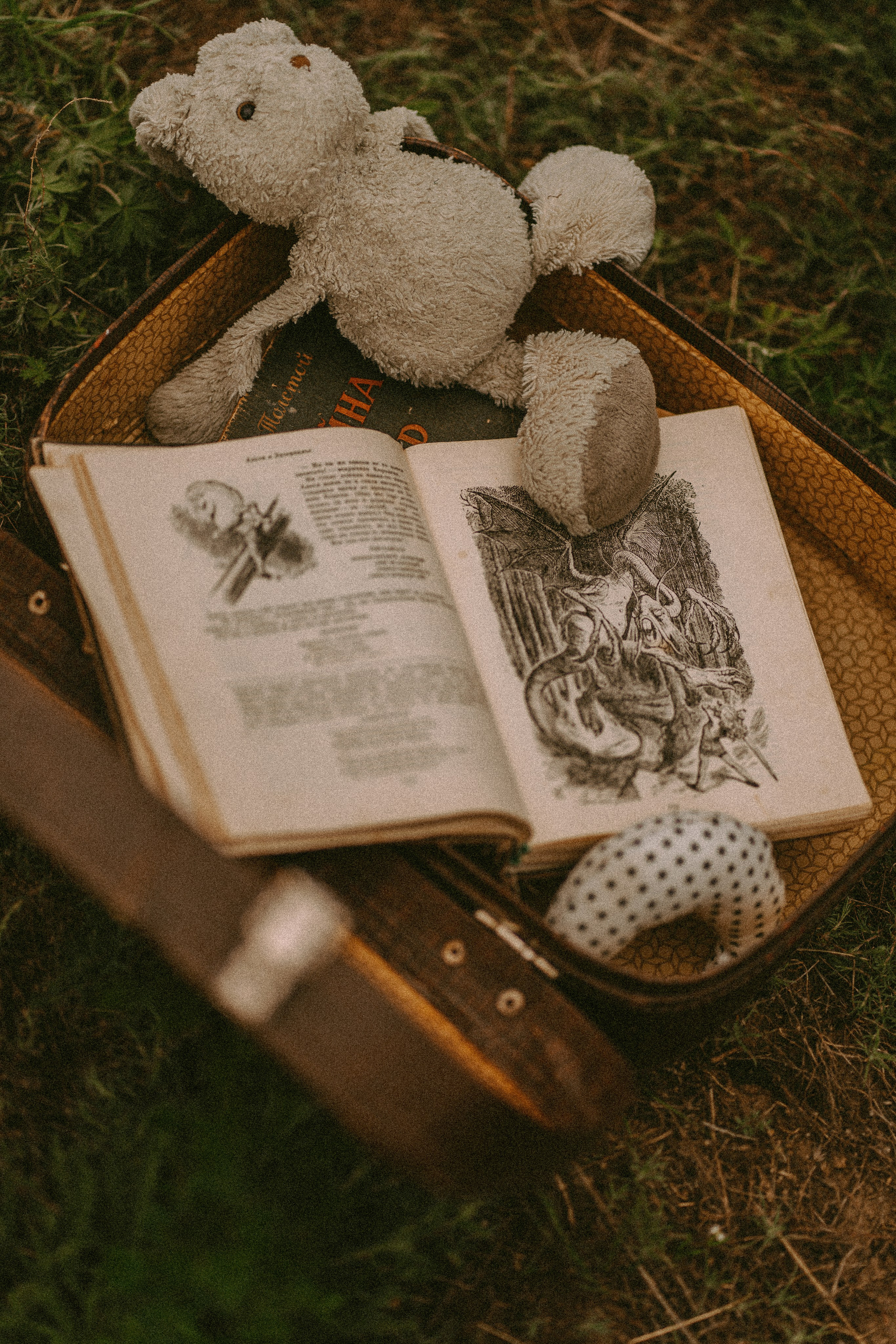 Когда деревья были большими. Семейный фотограф в Калининграде Елена Глазунова