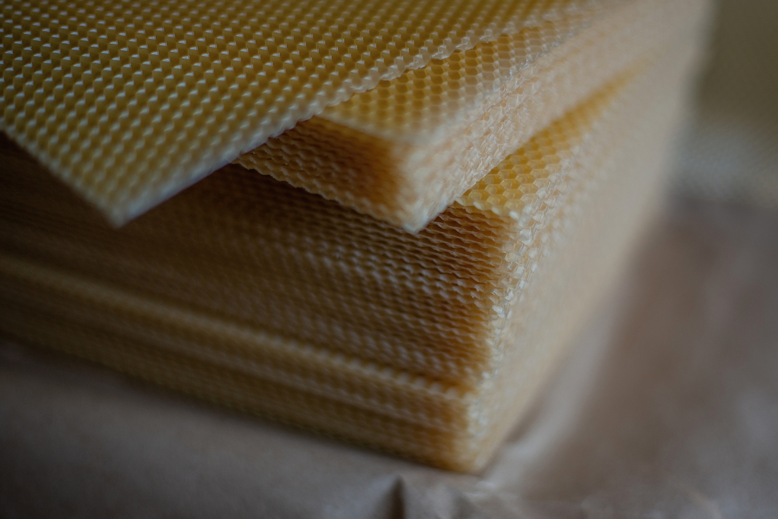 Пасека_Псковская область. Семейный фотограф в Санкт-Петербурге