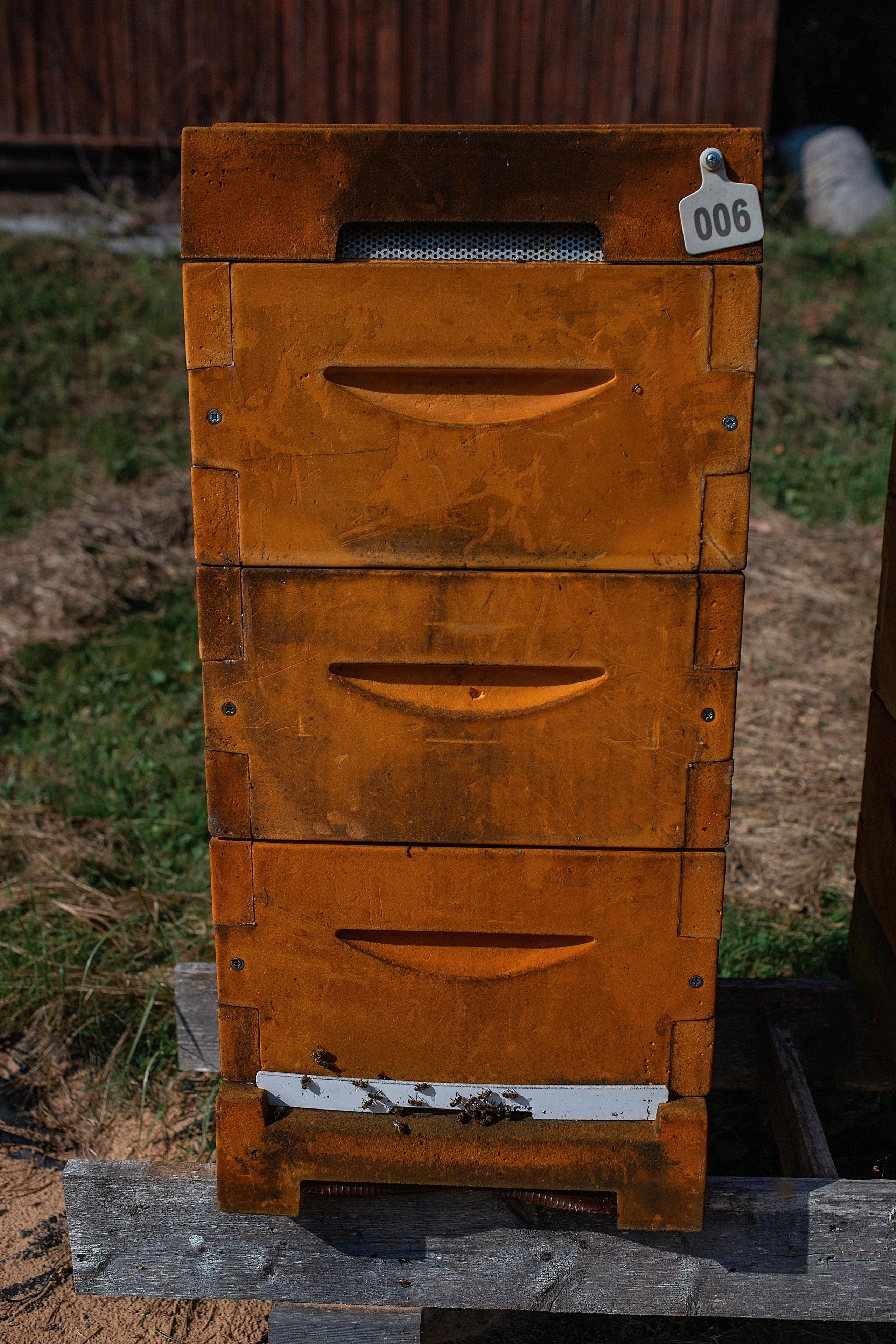 Пасека_Псковская область. Семейный фотограф в Санкт-Петербурге