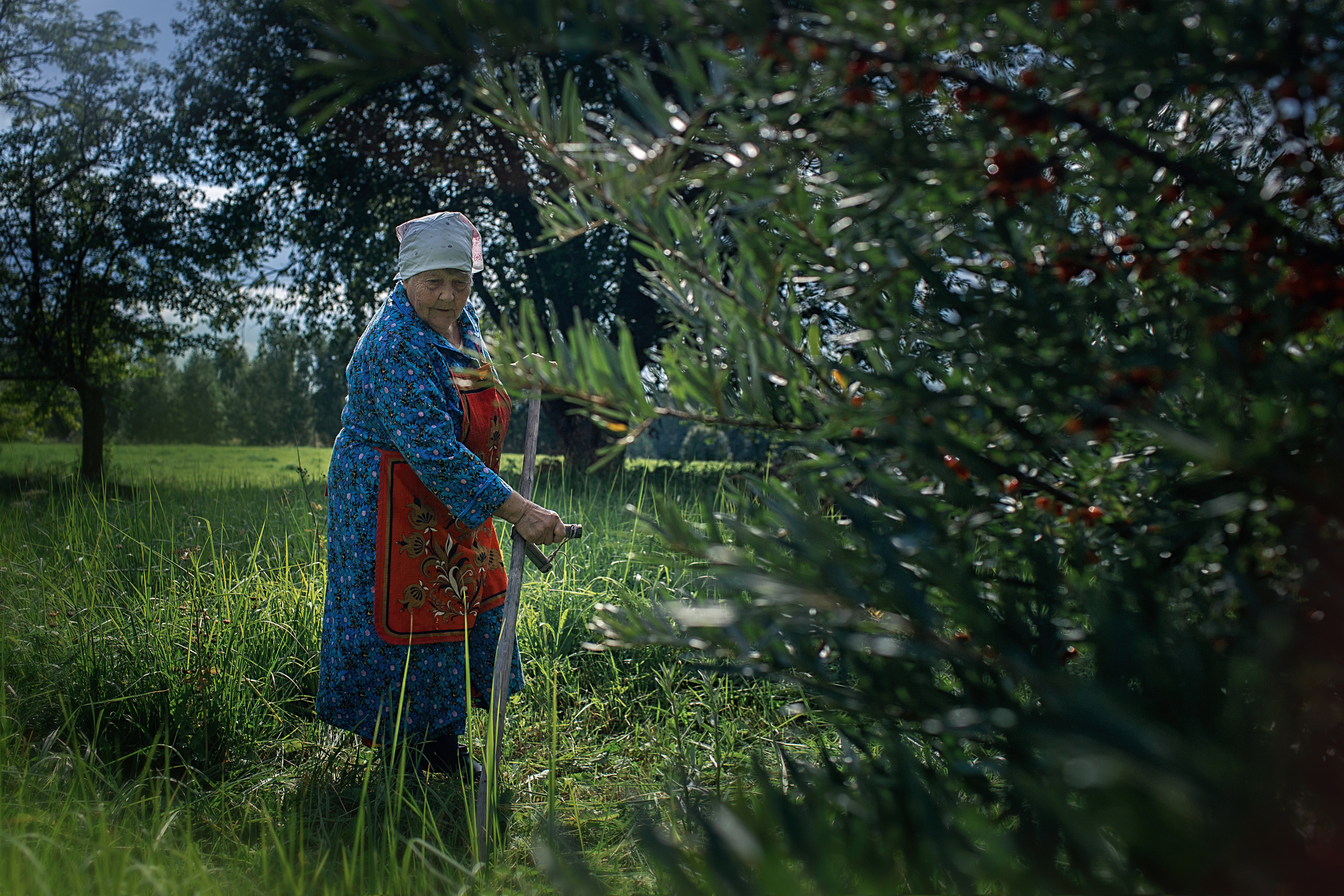 «Вы чувствуете это запах свежескошенной травы?»_2022. Семейный фотограф в Санкт-Петербурге