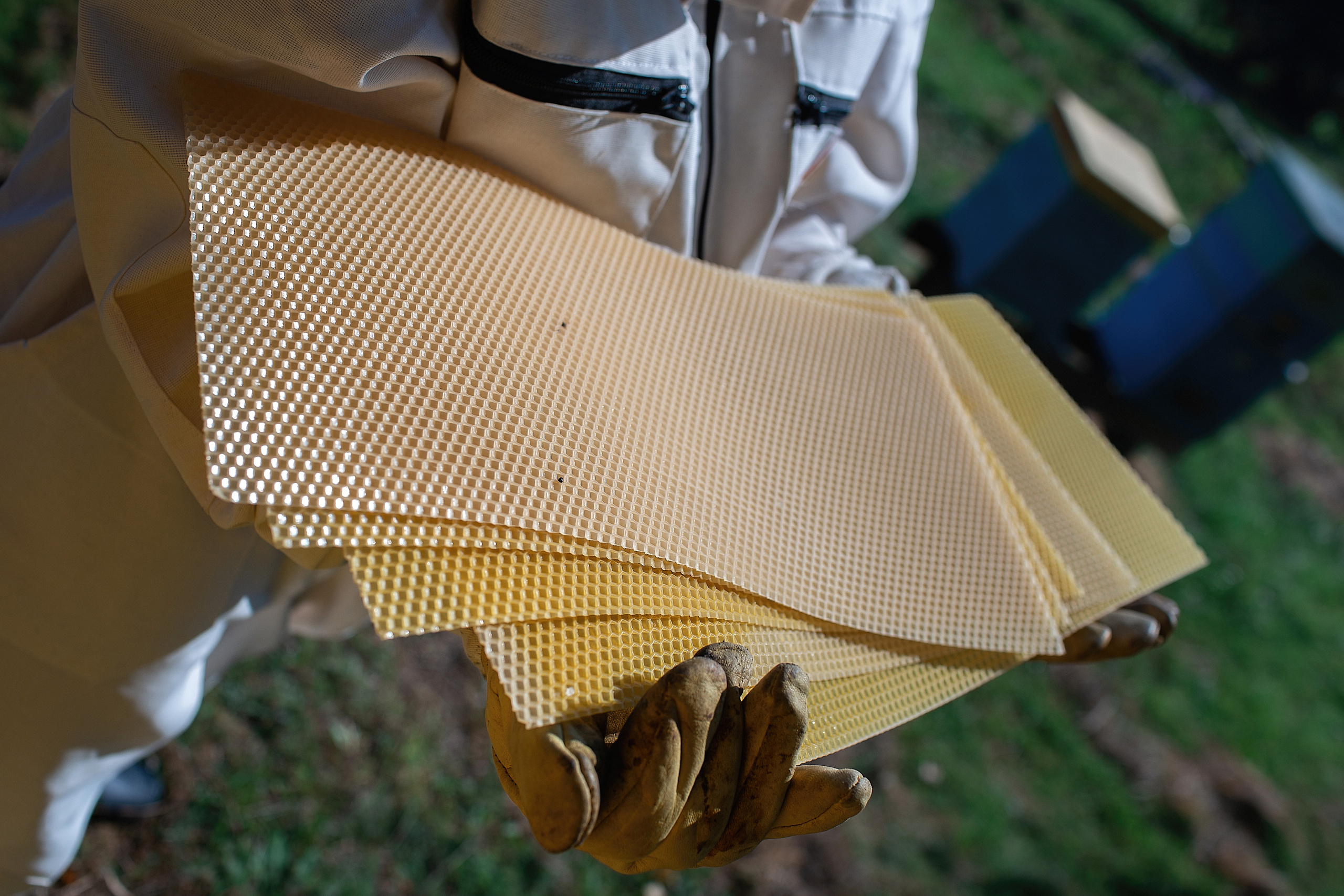 Пасека_Псковская область. Семейный фотограф в Санкт-Петербурге
