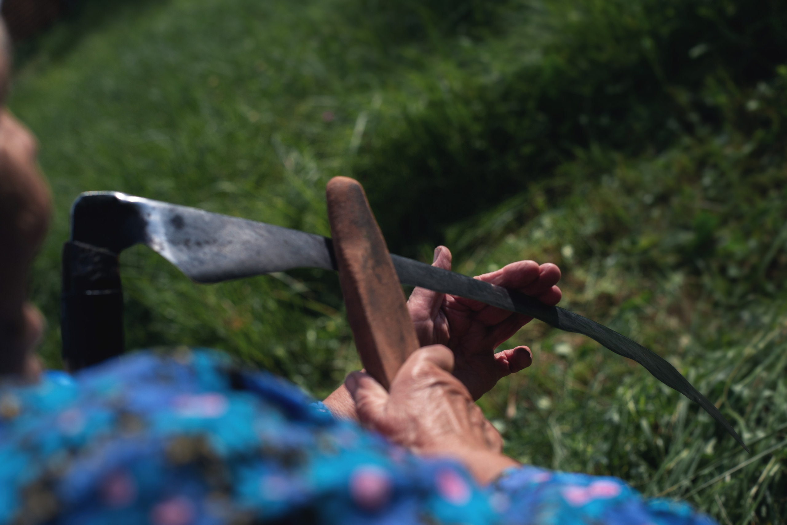 «Вы чувствуете это запах свежескошенной травы?»_2022. Семейный фотограф в Санкт-Петербурге