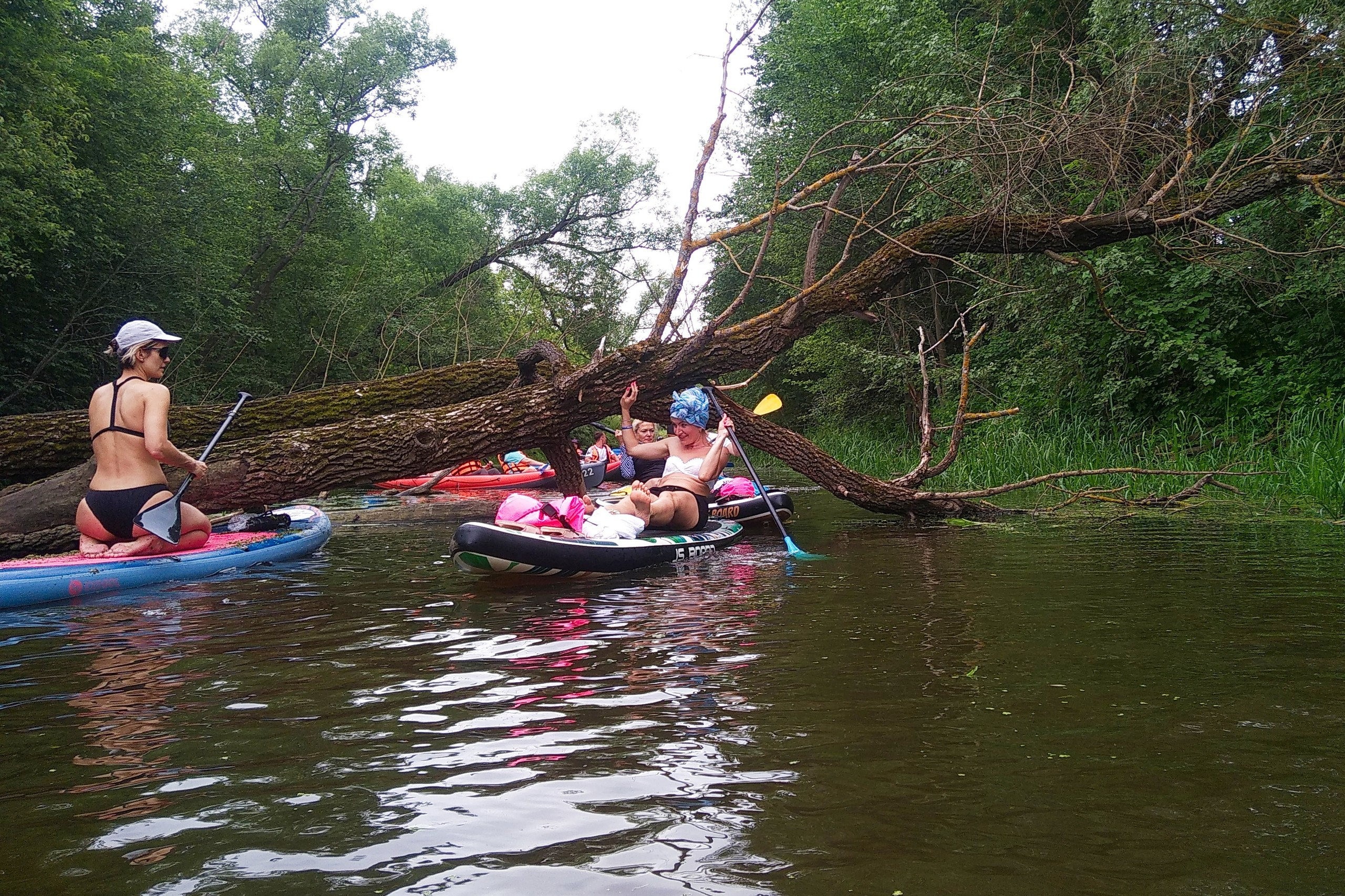 Сплав на сапах | 16.06.2024. Галерея Фантим