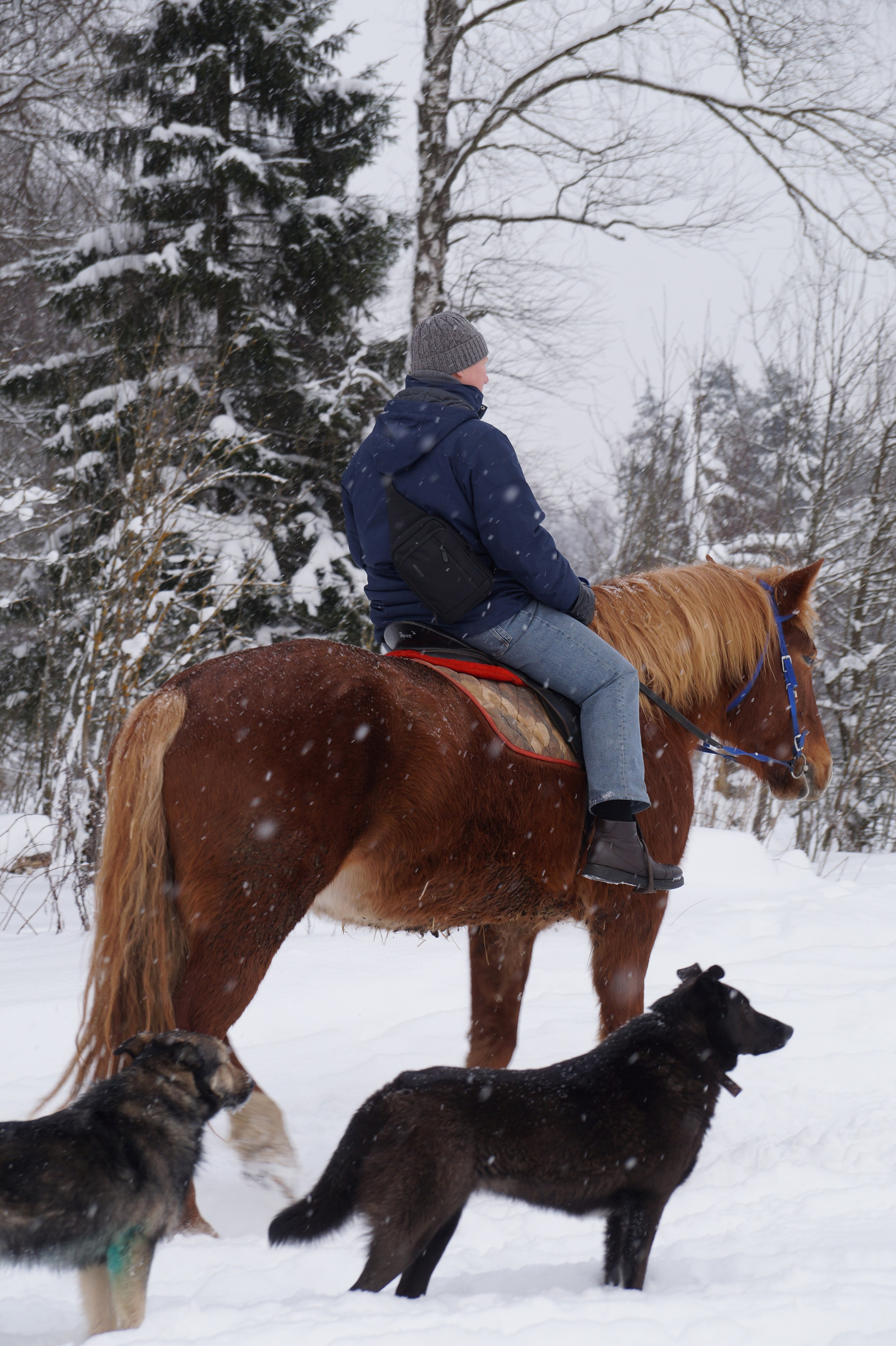 Лошадинг | 11.01.2026. Галерея Фантим